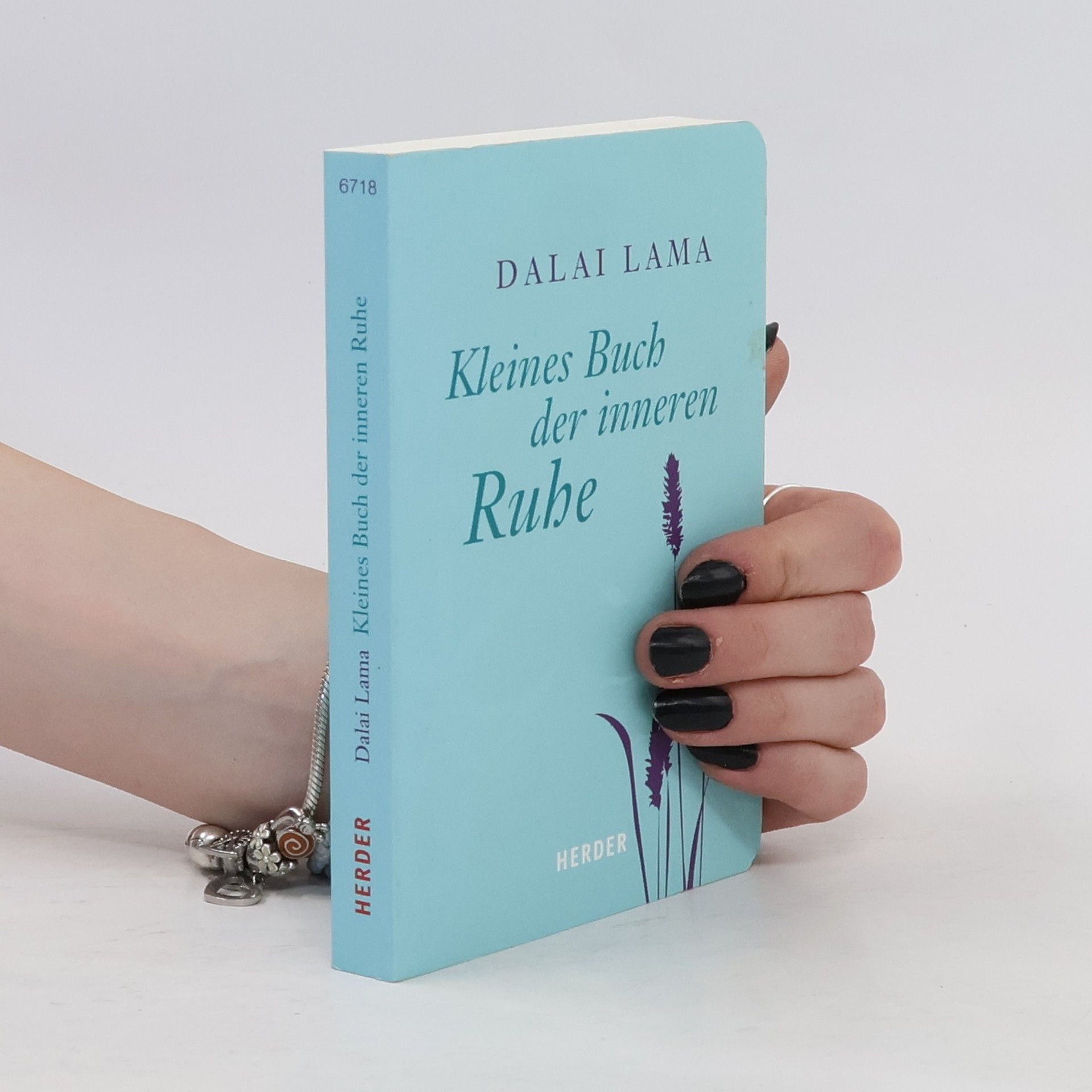 Dalajlama Kleines Buch der inneren Ruhe