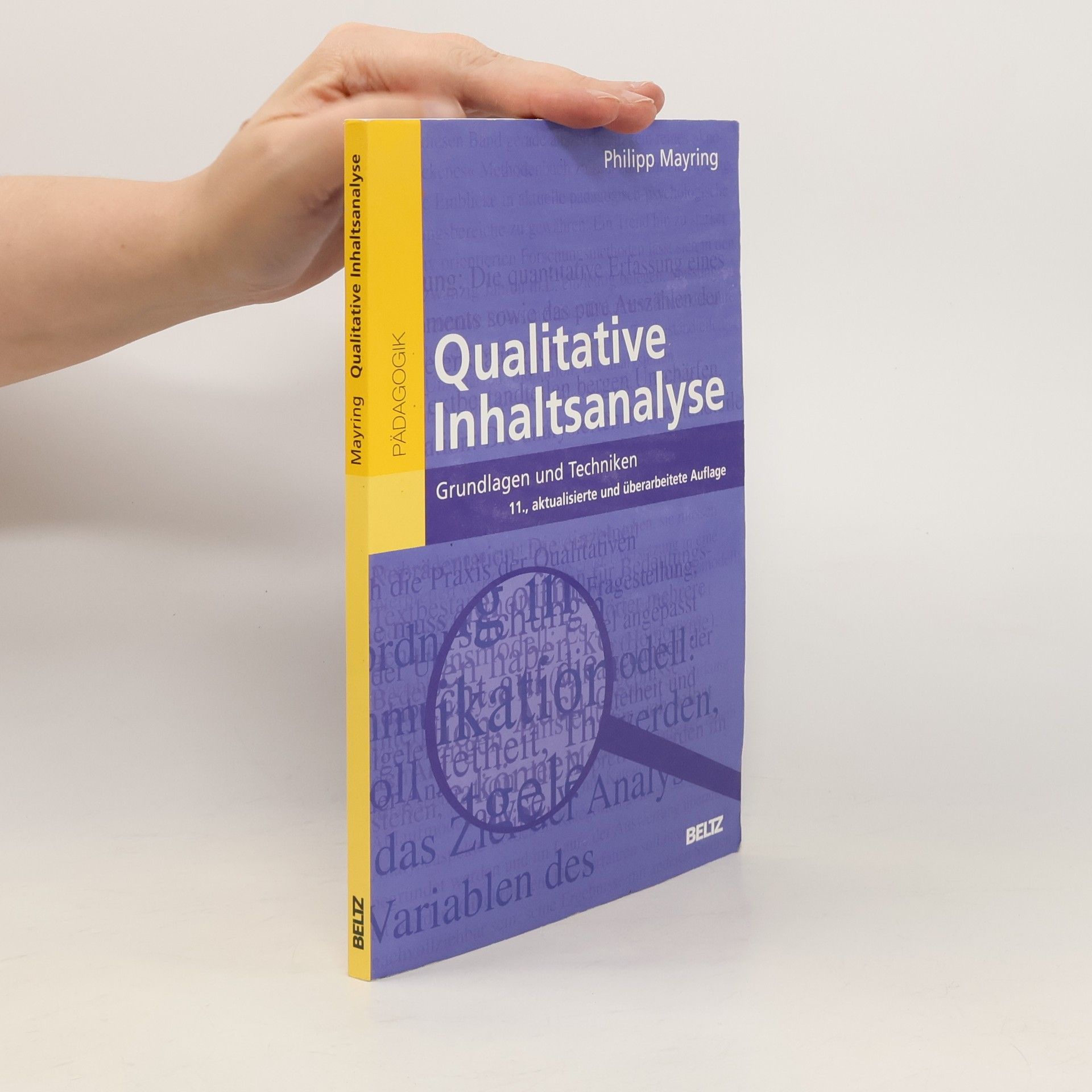 Philipp Mayring Qualitative Inhaltsanalyse
