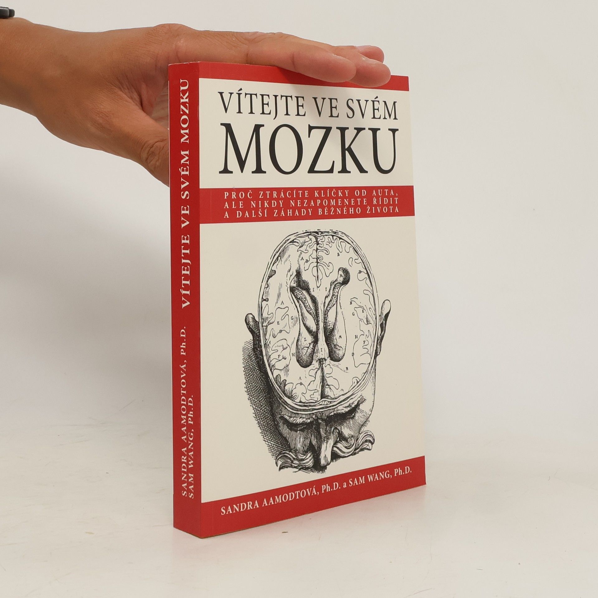 Vítejte ve svém mozku