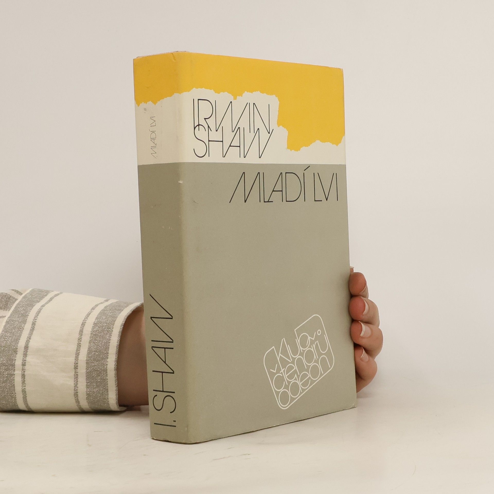 Irwin Shaw Mladí lvi