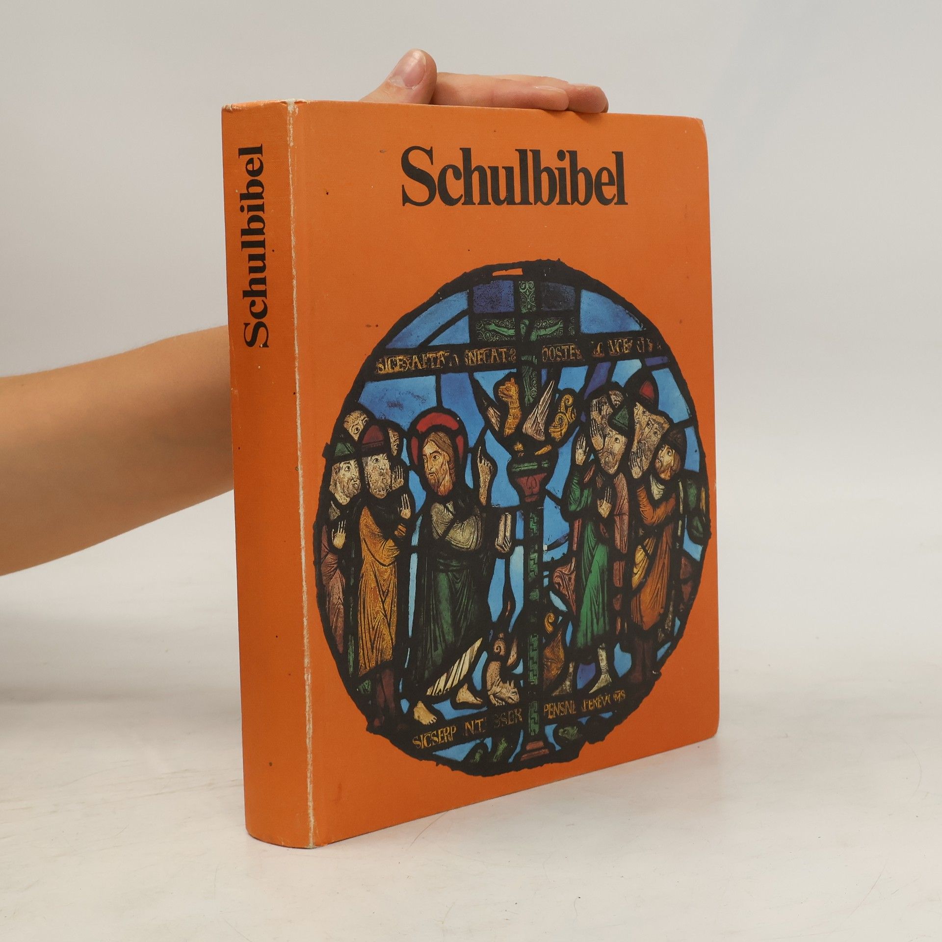 Autorenkollektiv Schulbibel für 10-14 jährige