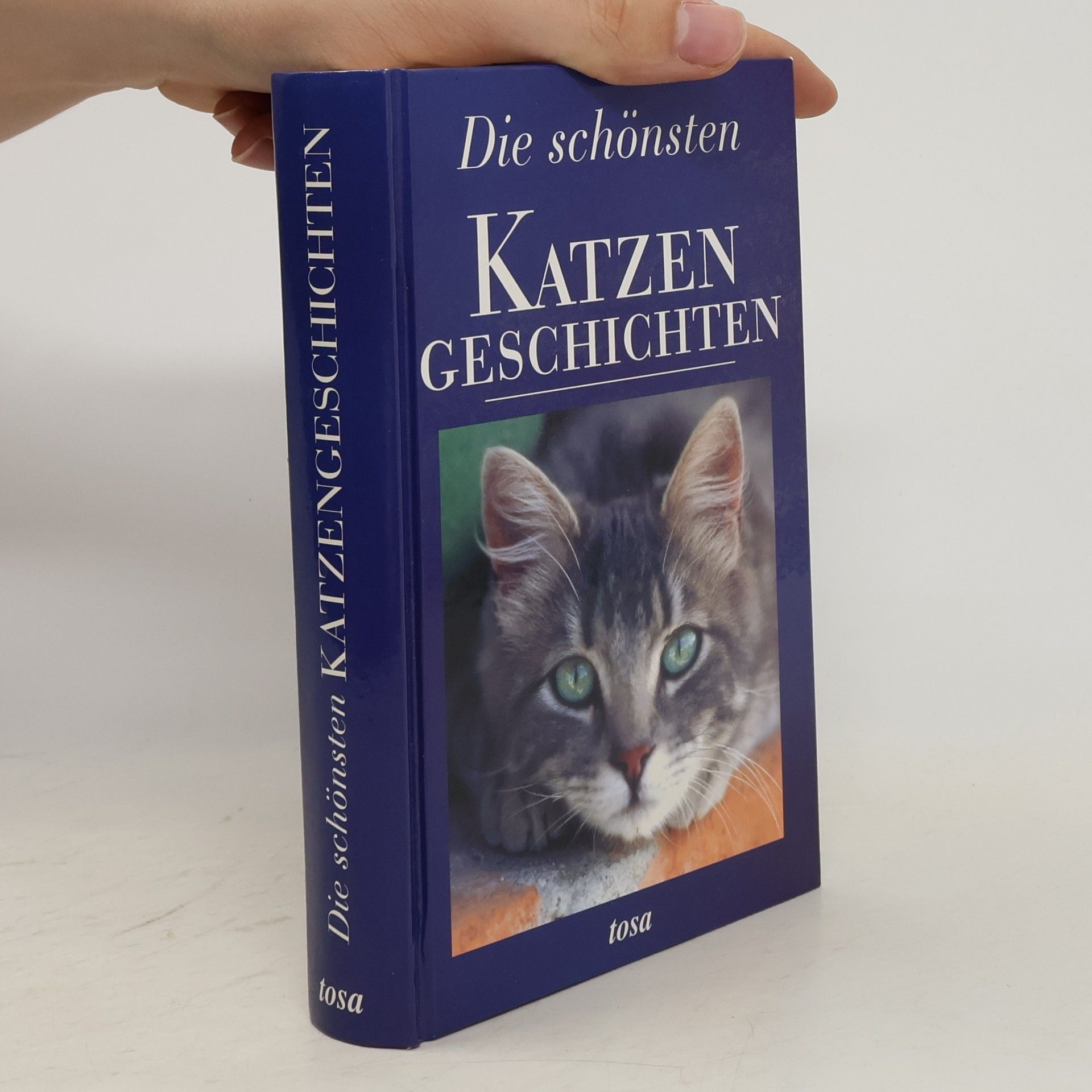 Autorenkollektiv Die schönsten Katzen Geschichten