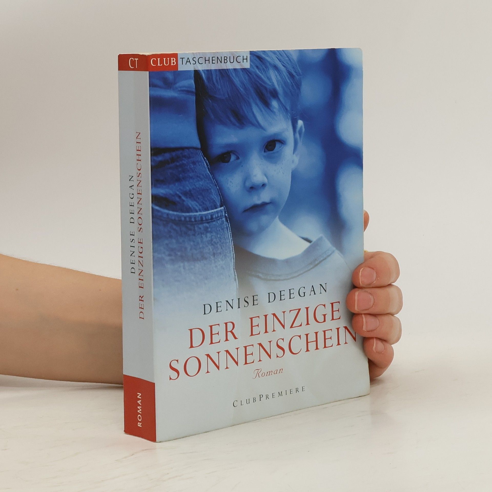 Denise Deegan Der einzige Sonnenschein