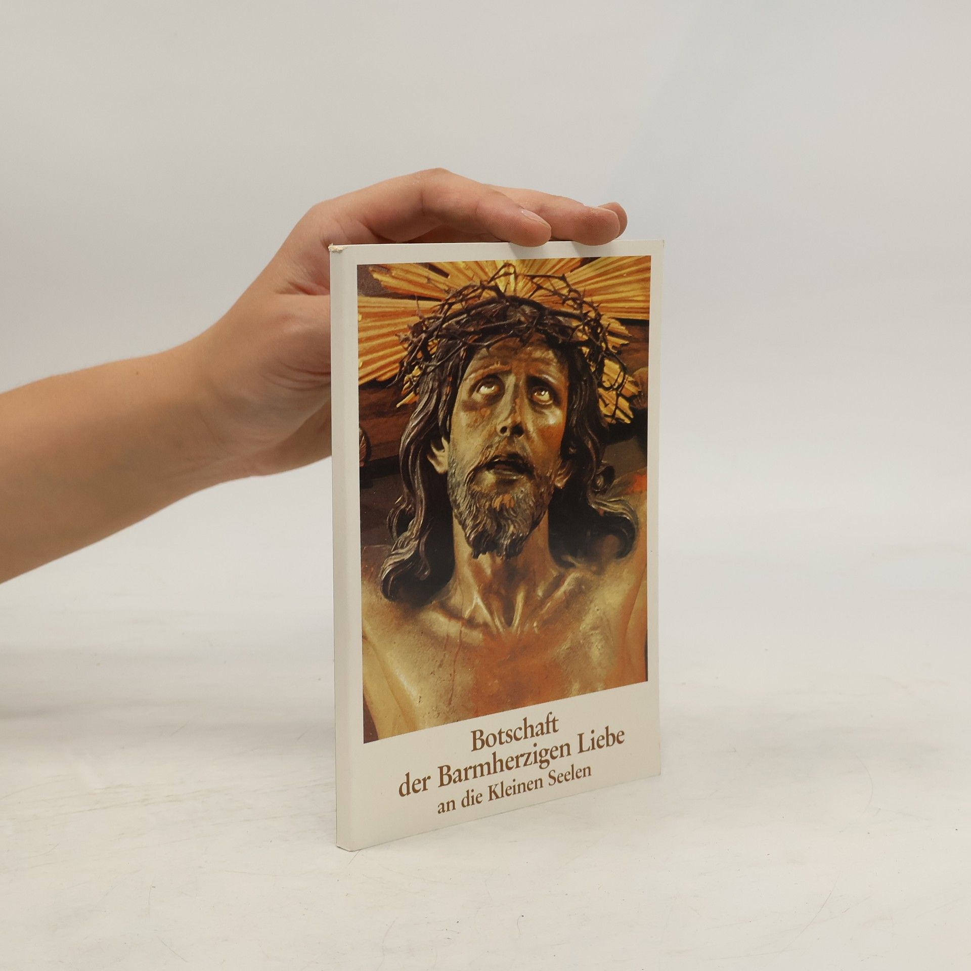 Autorenkollektiv Botschaft der Barmherzigen Liebe an die Kleinen Seelen
