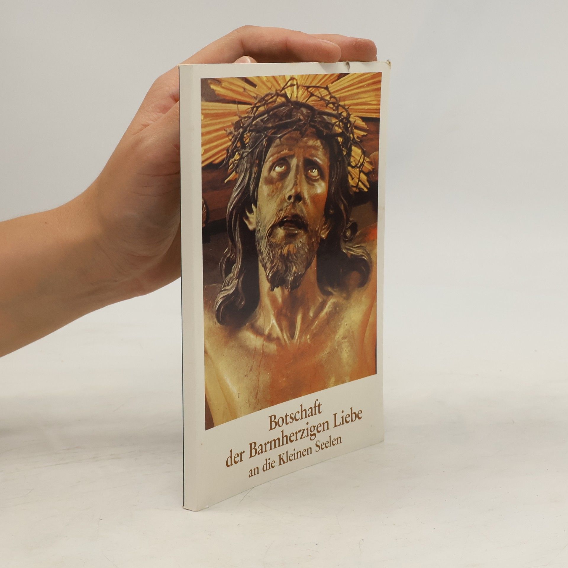 Autorenkollektiv Botschaft der Barmherzigen Liebe