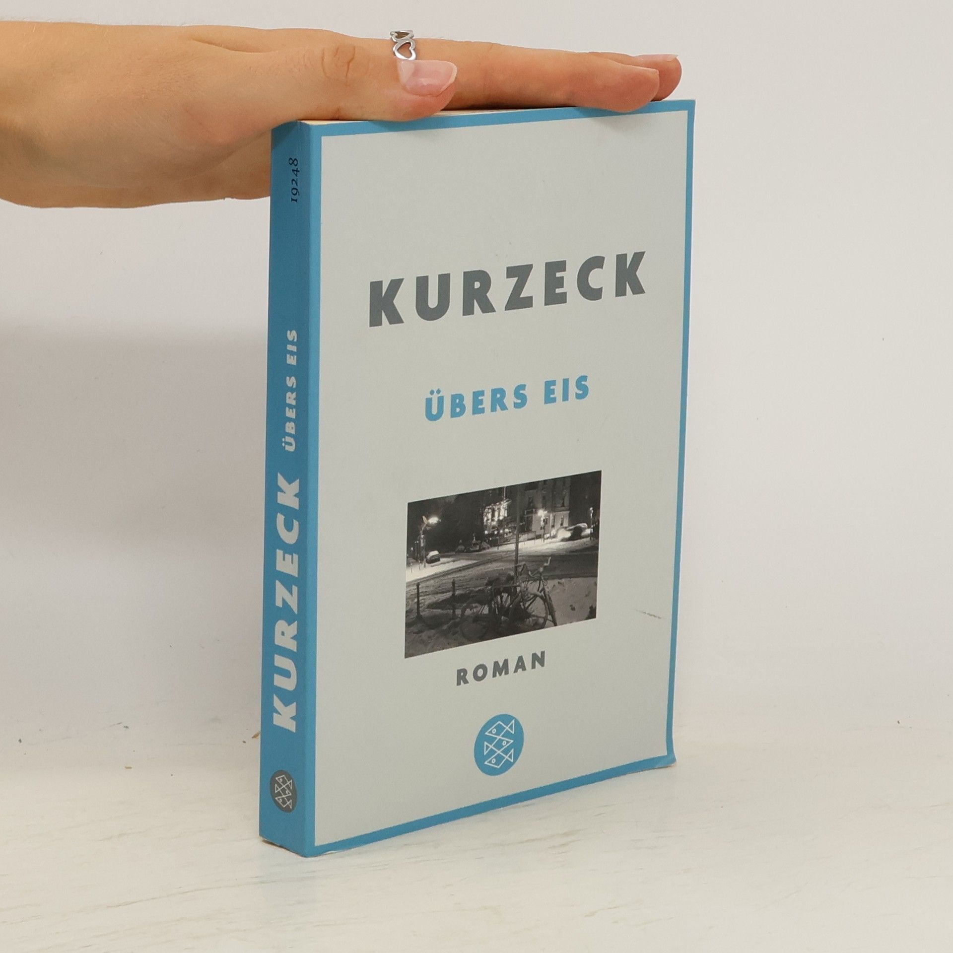 Peter Kurzeck Übers Eis