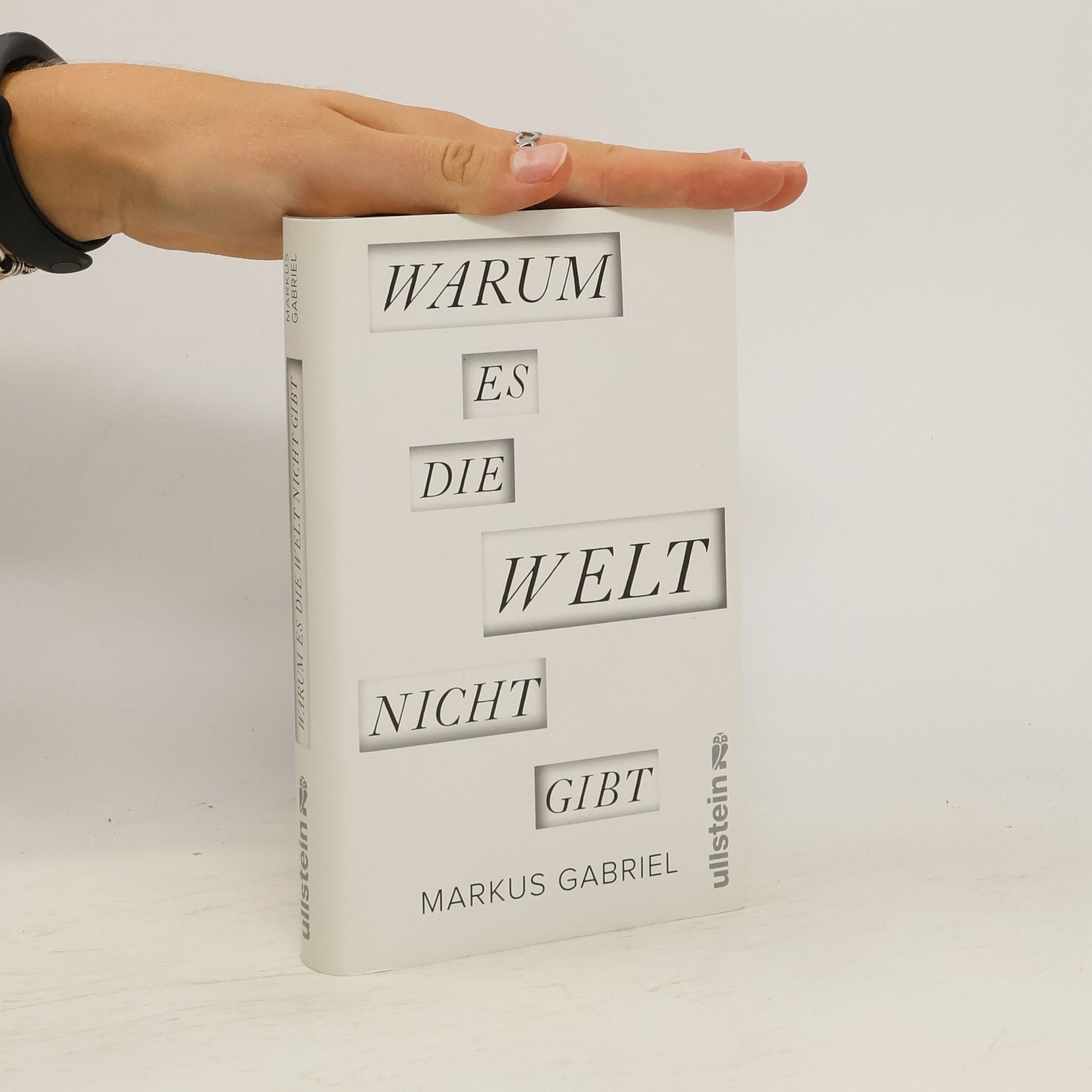 Markus Gabriel Warum es die Welt nicht gibt