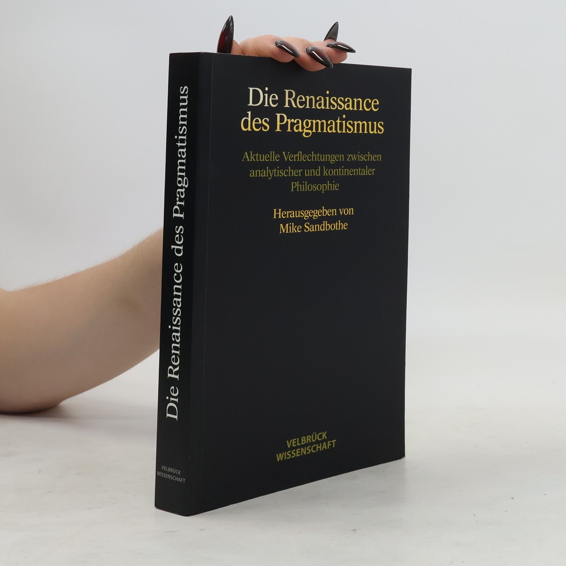 Mike Sandbothe Die Renaissance des Pragmatismus