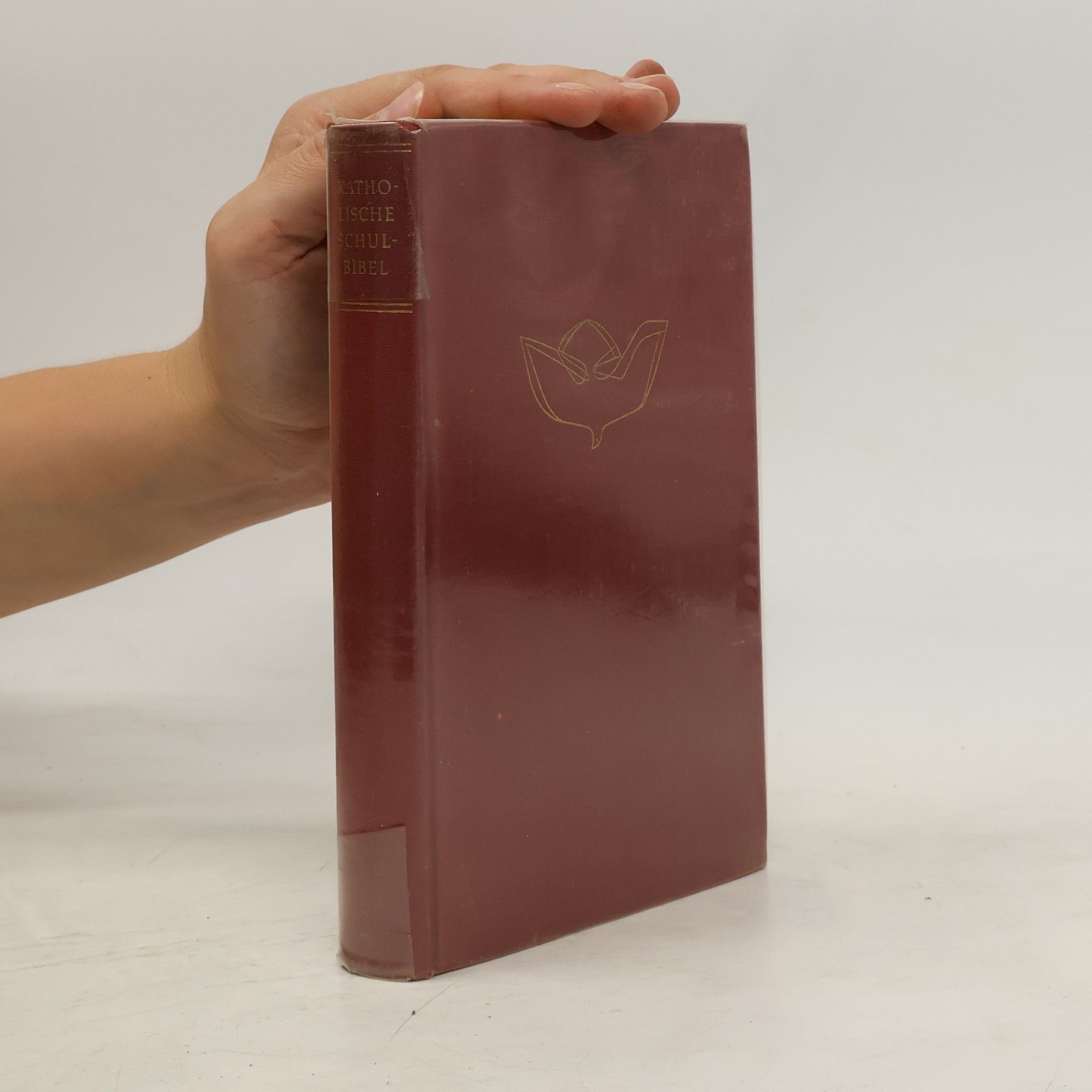 Autorenkollektiv Katholische Schukbibel