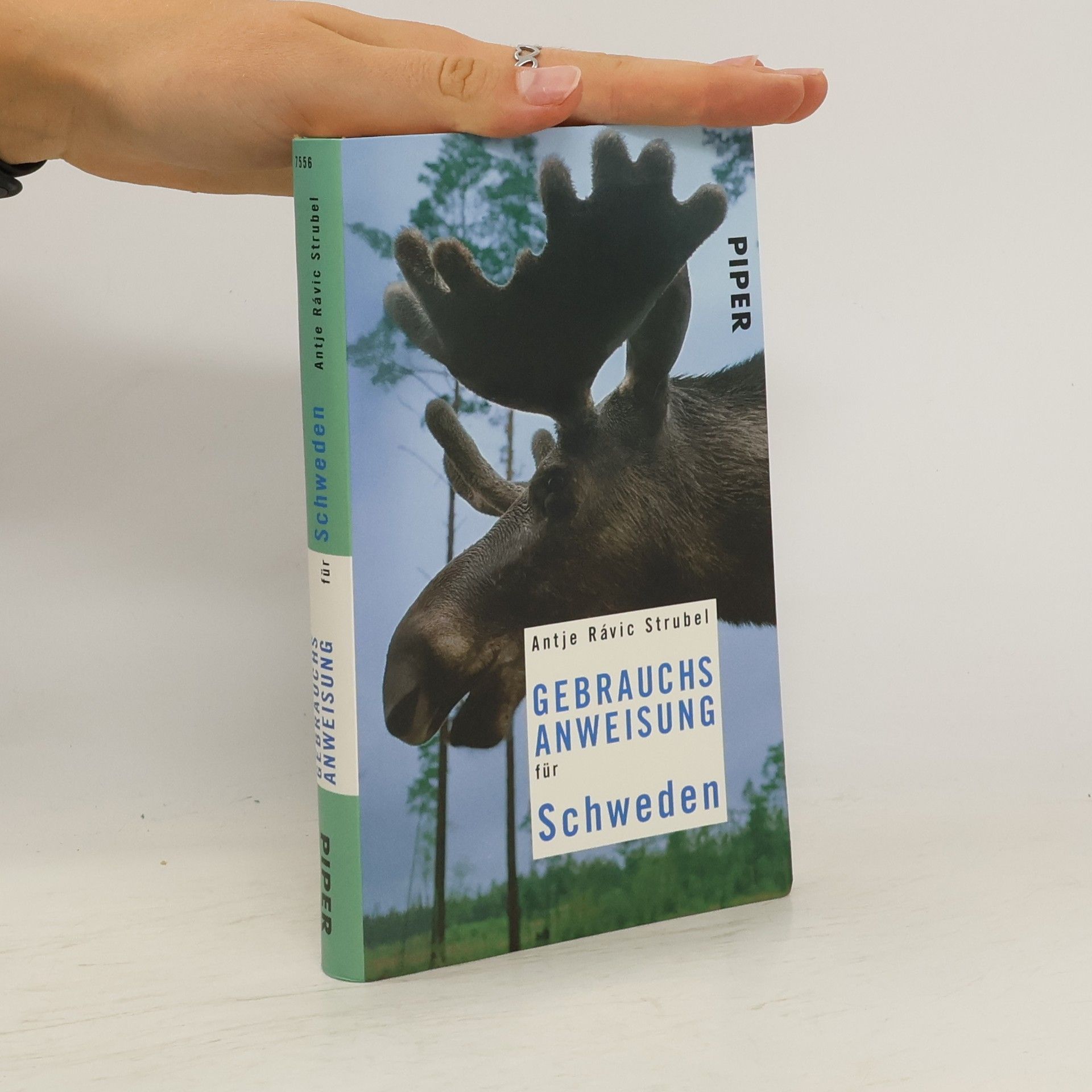 Antje Rávik Strubel Gebrauchsanweisung für Schweden