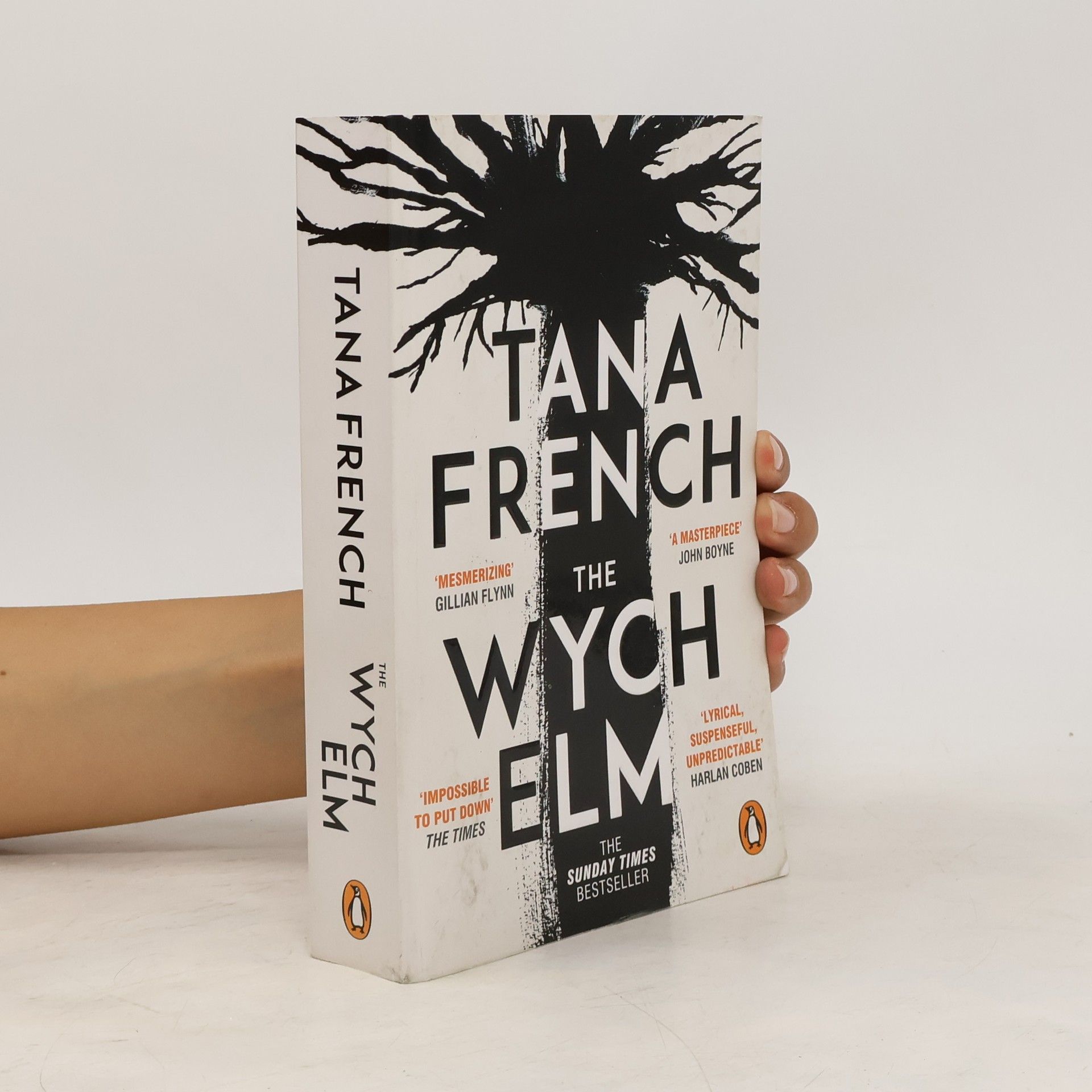 Tana French The Wych Elm