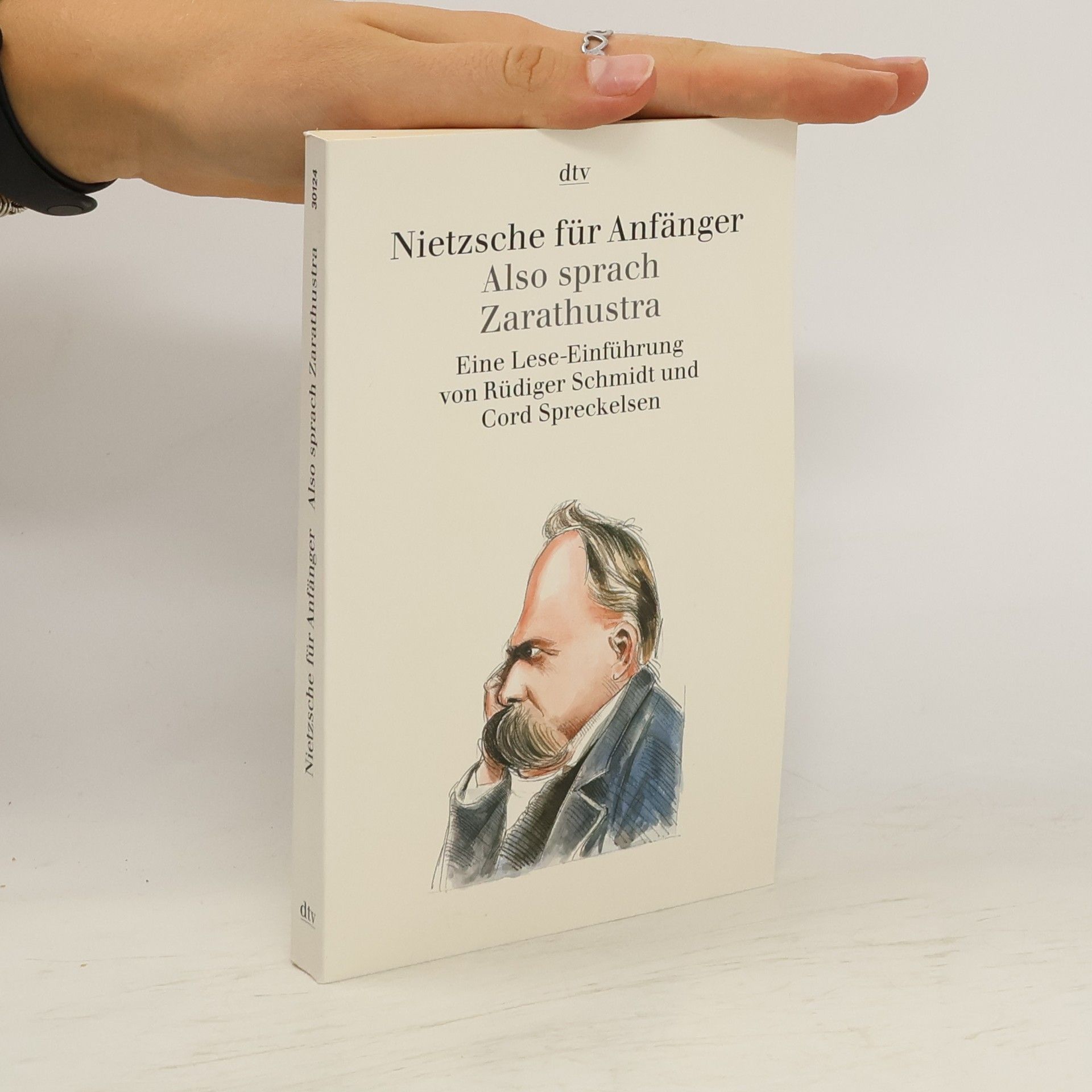 Cord Spreckelsen Nietzsche für Anfänger : Also sprach Zarathustra : eine Lese-Einführung