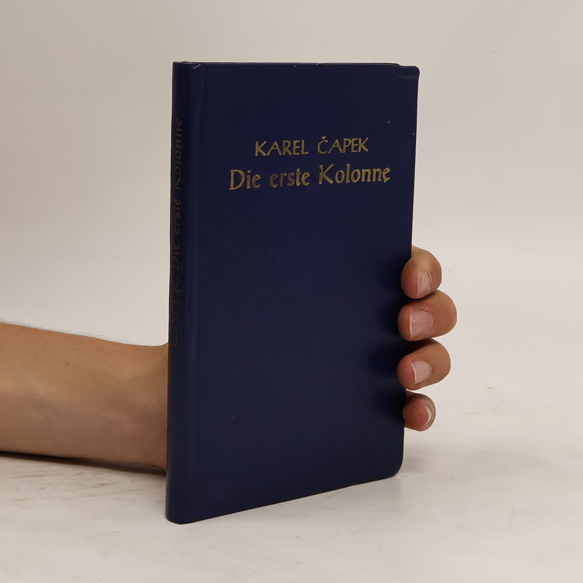Karel Čapek Die erste Kolonne
