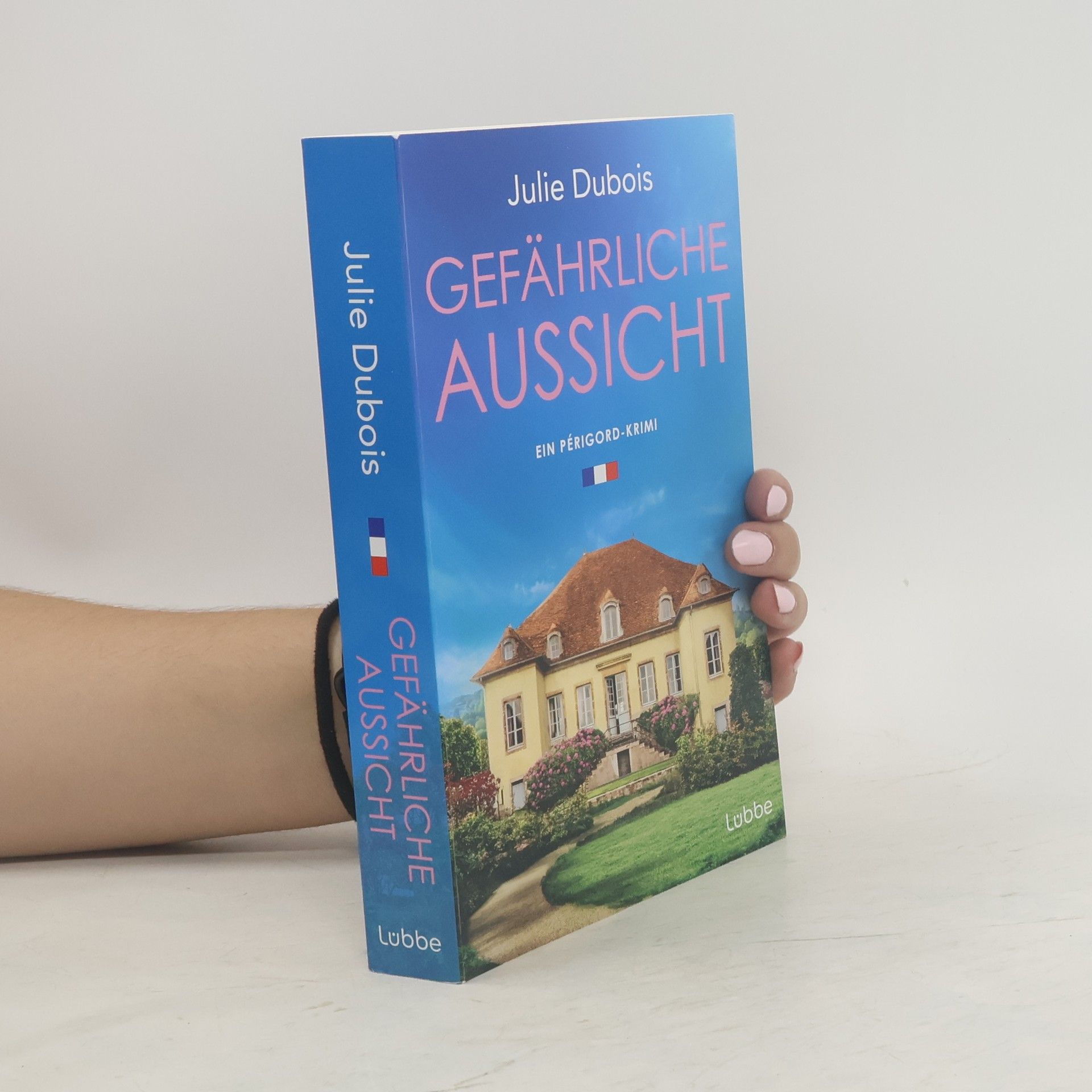 Julie Dubois Gefährliche Aussicht