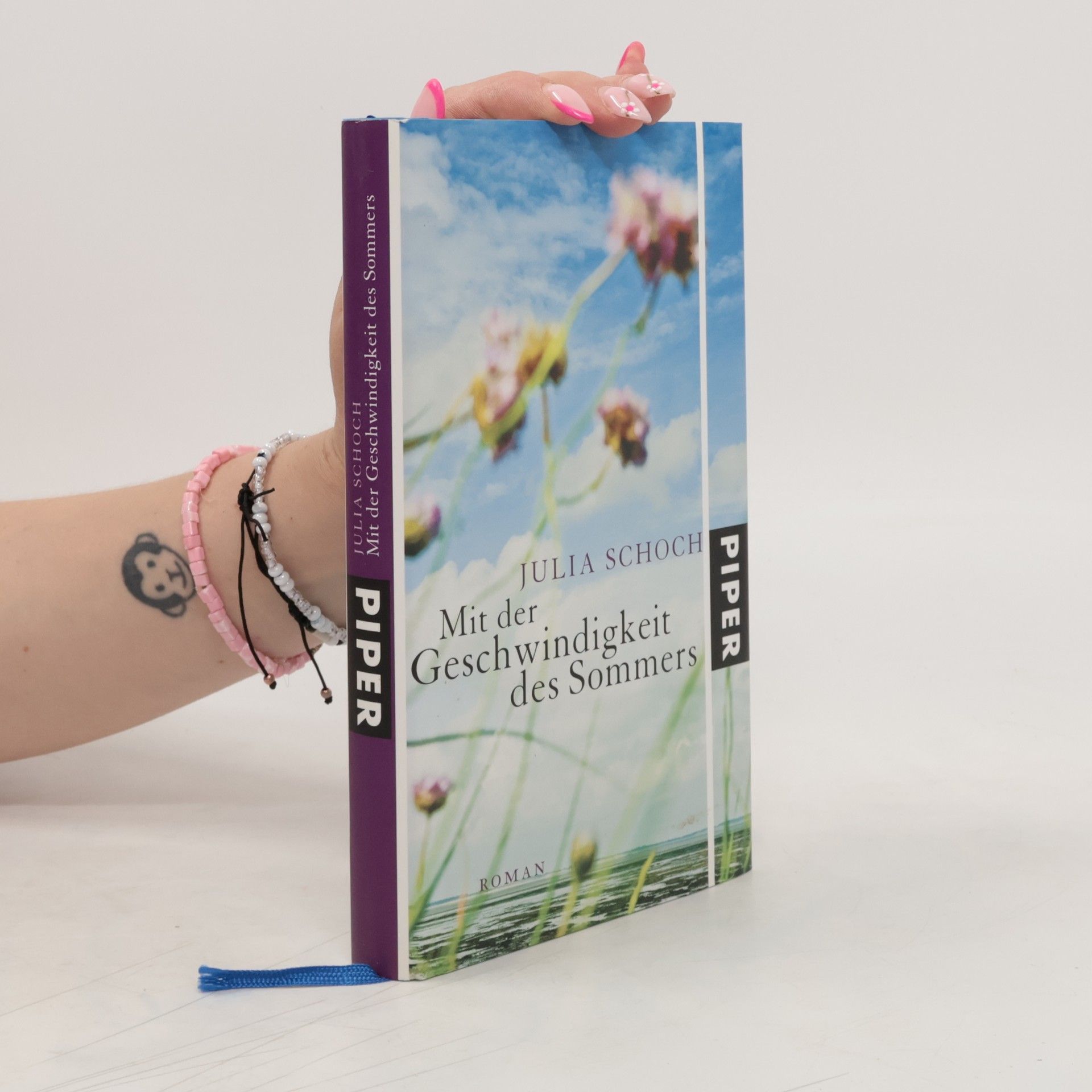 Julia Schoch Mit der Geschwindigkeit des Sommers