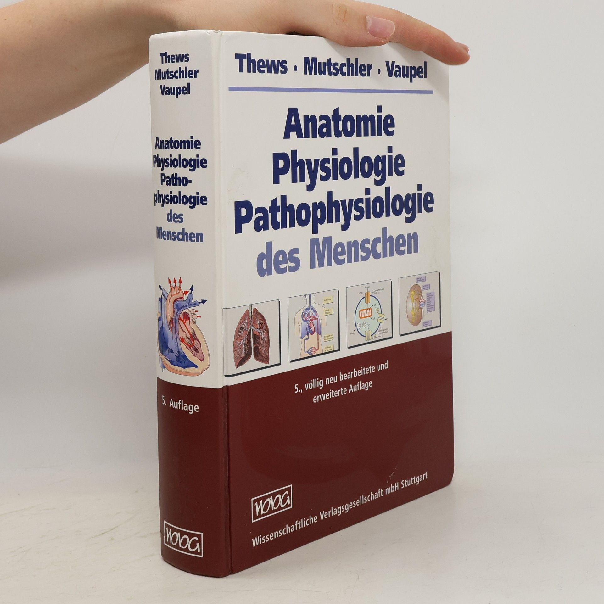Gerhard Thews Anatomie, Physiologie, Pathophysiologie des Menschen