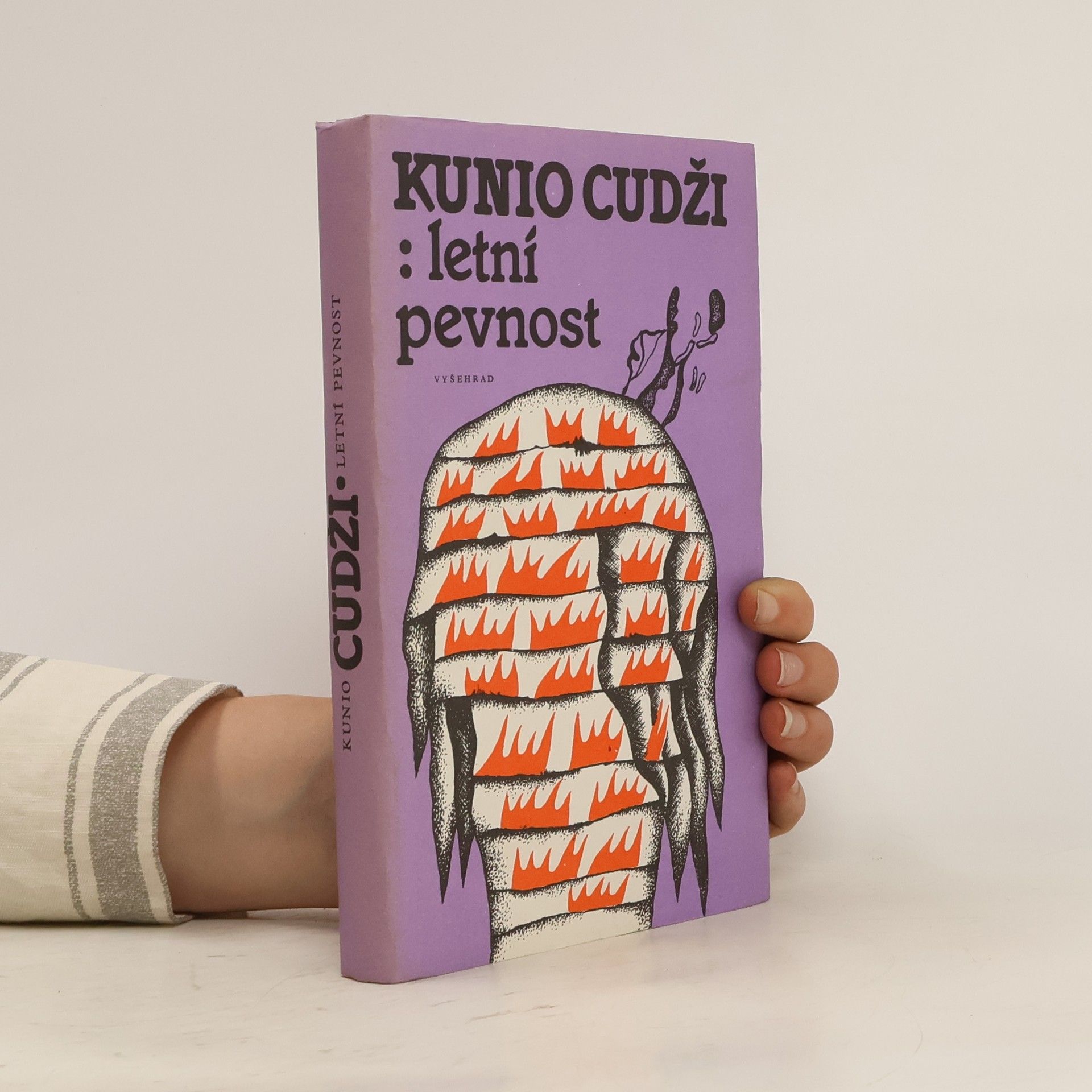 Zdenka Švarcová Letní pevnost