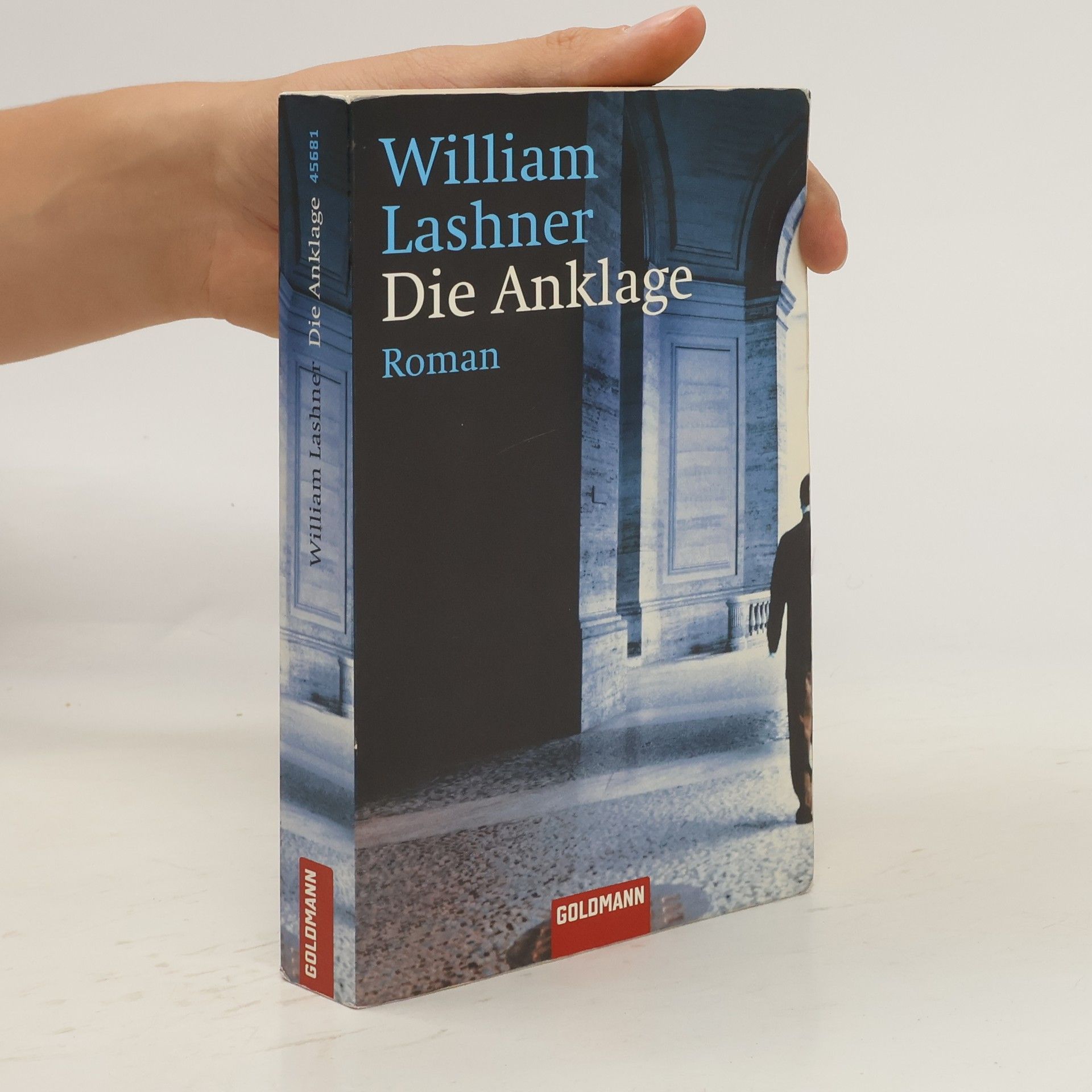 William Lashner Die Anklage