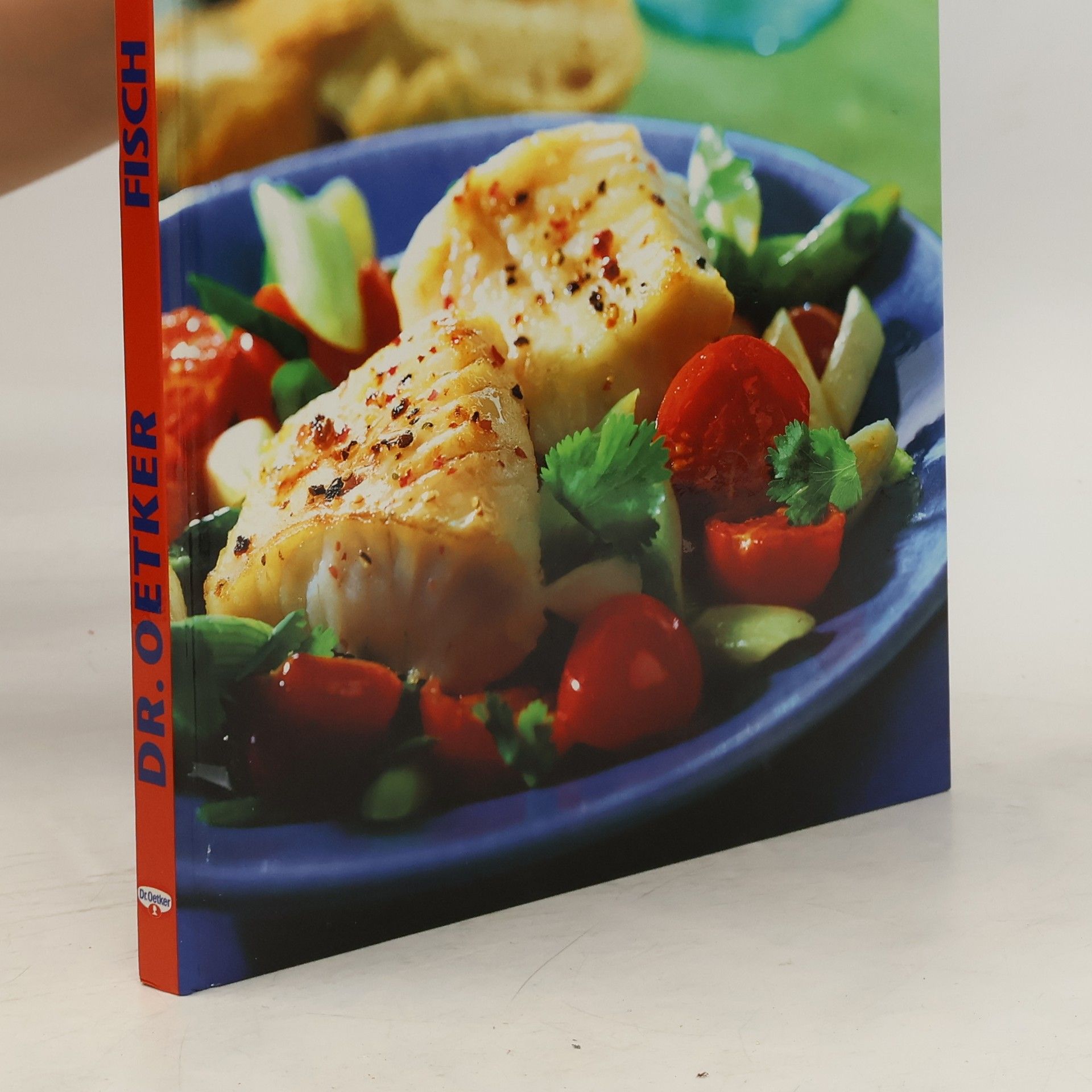 Dr.Oetker Fisch