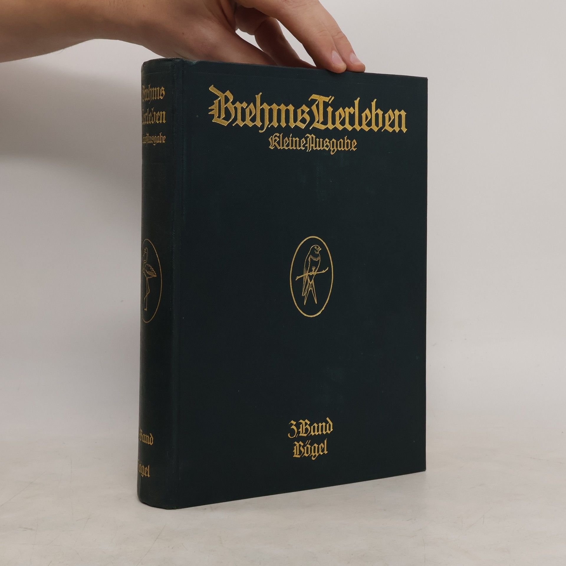 Alfred Edmund Brehm Brehms Tierleben 3. Die Vögel