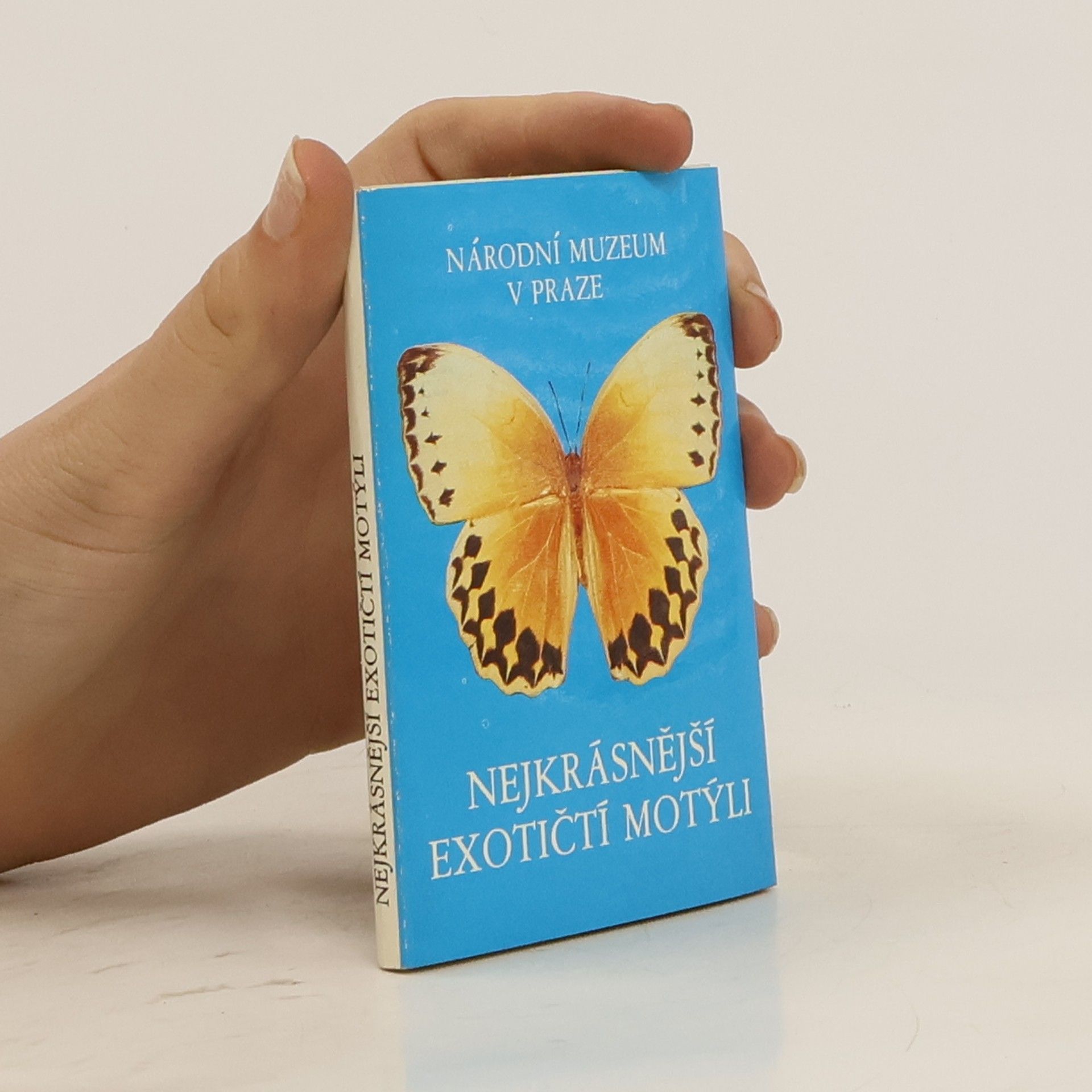 Autorenkollektiv Nejkrásnější exotičtí motýli