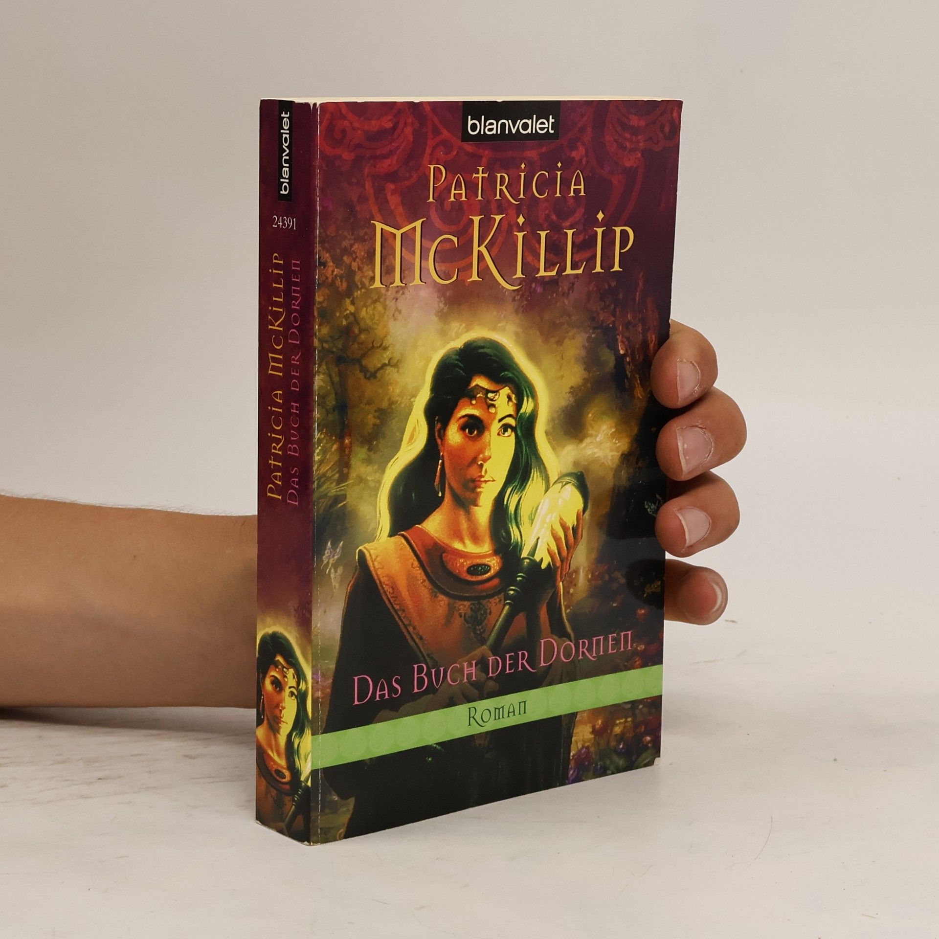 Patricia A. McKillip Das Buch der Dornen