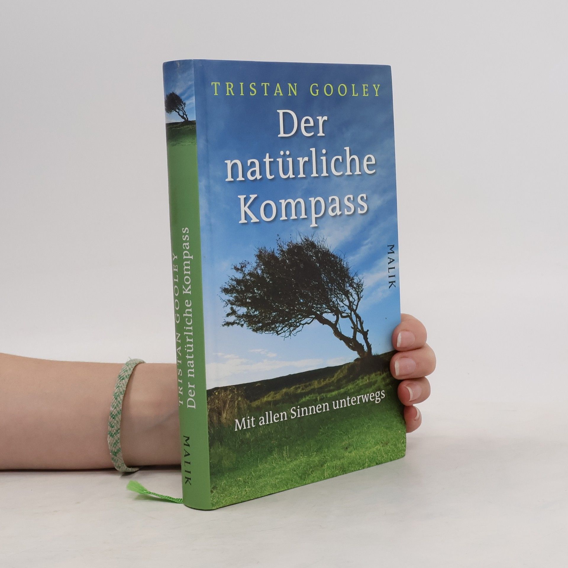Tristan Gooley Der natürliche Kompass