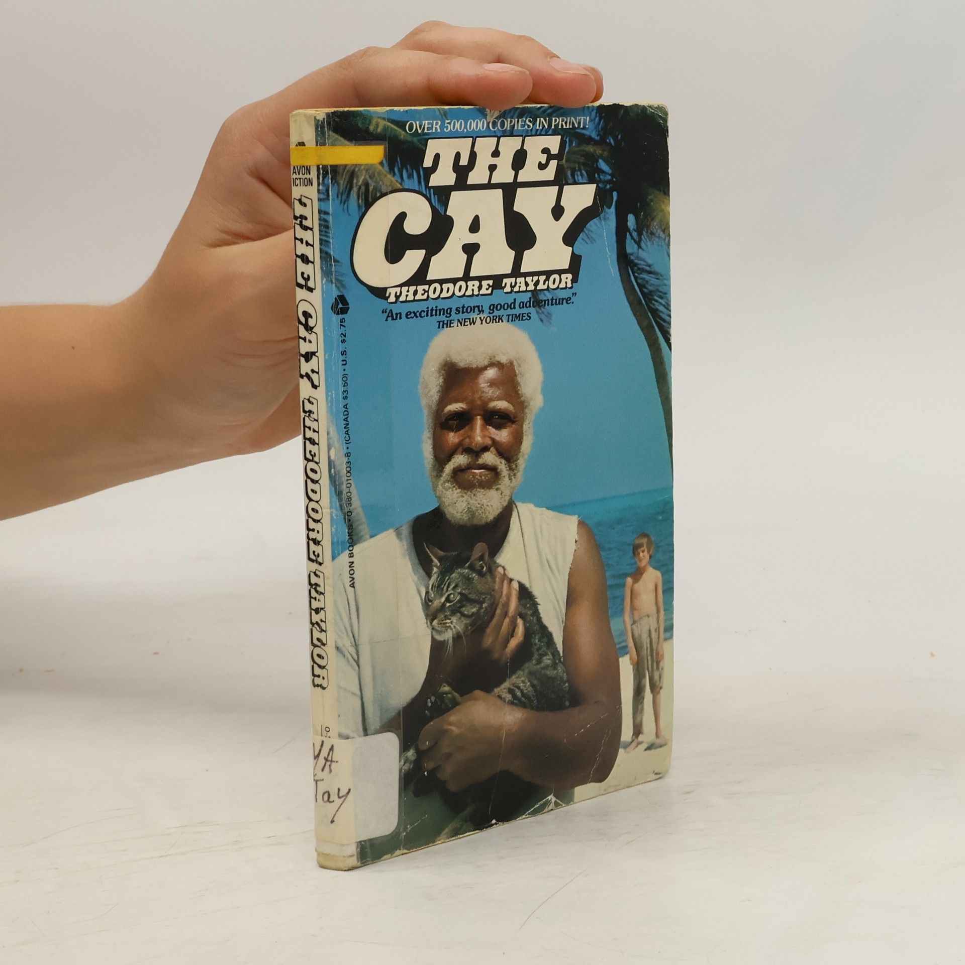 Theodore Taylor The Cay