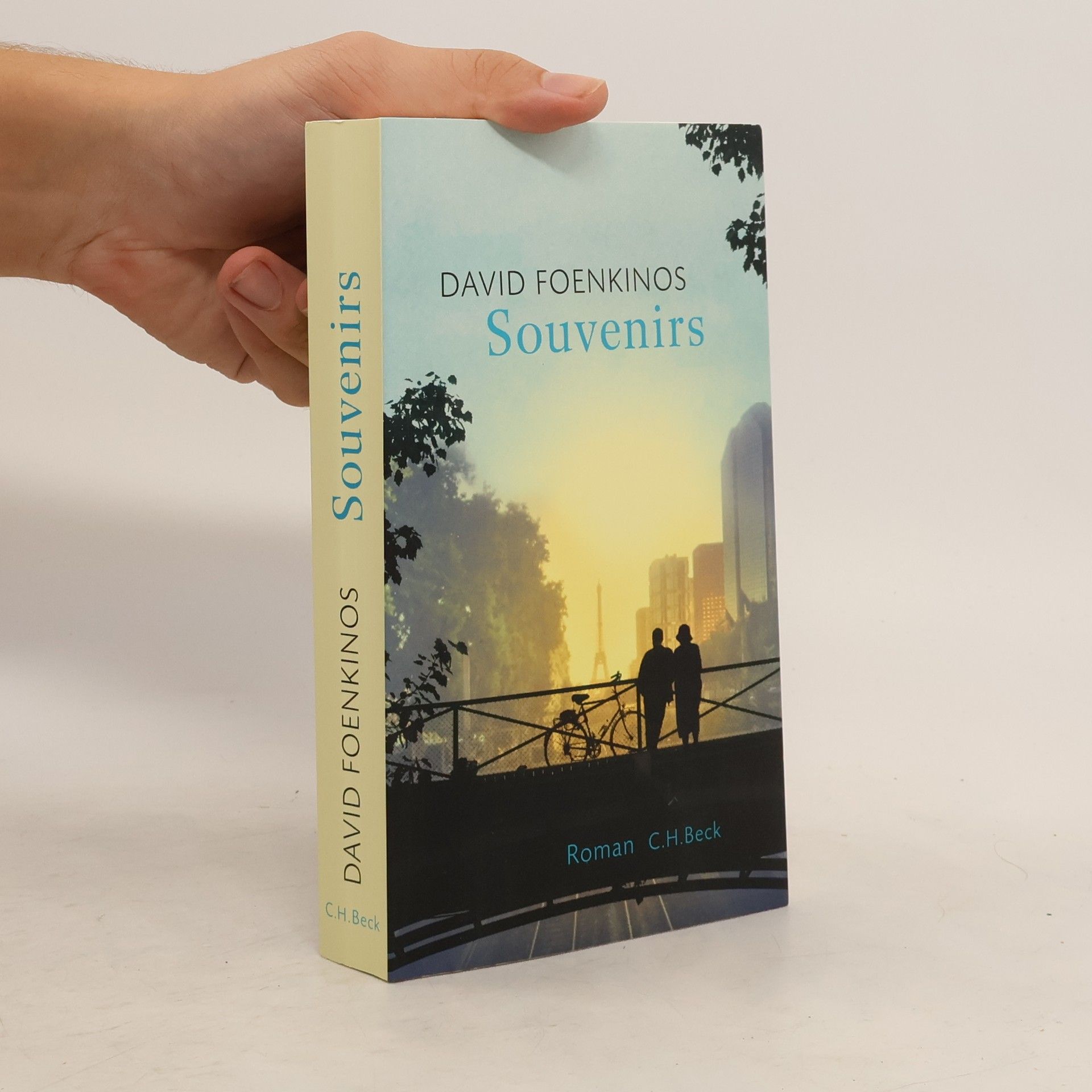 David Foenkinos Souvenirs