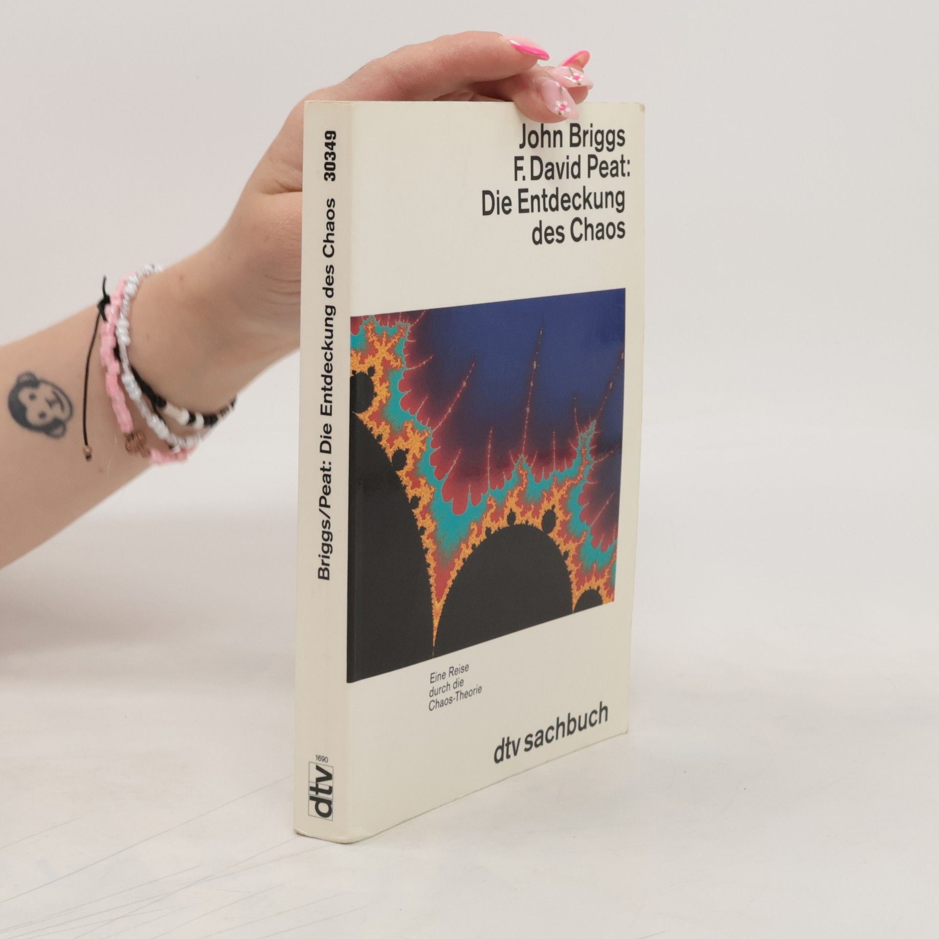 John Briggs Die Entdeckung des Chaos