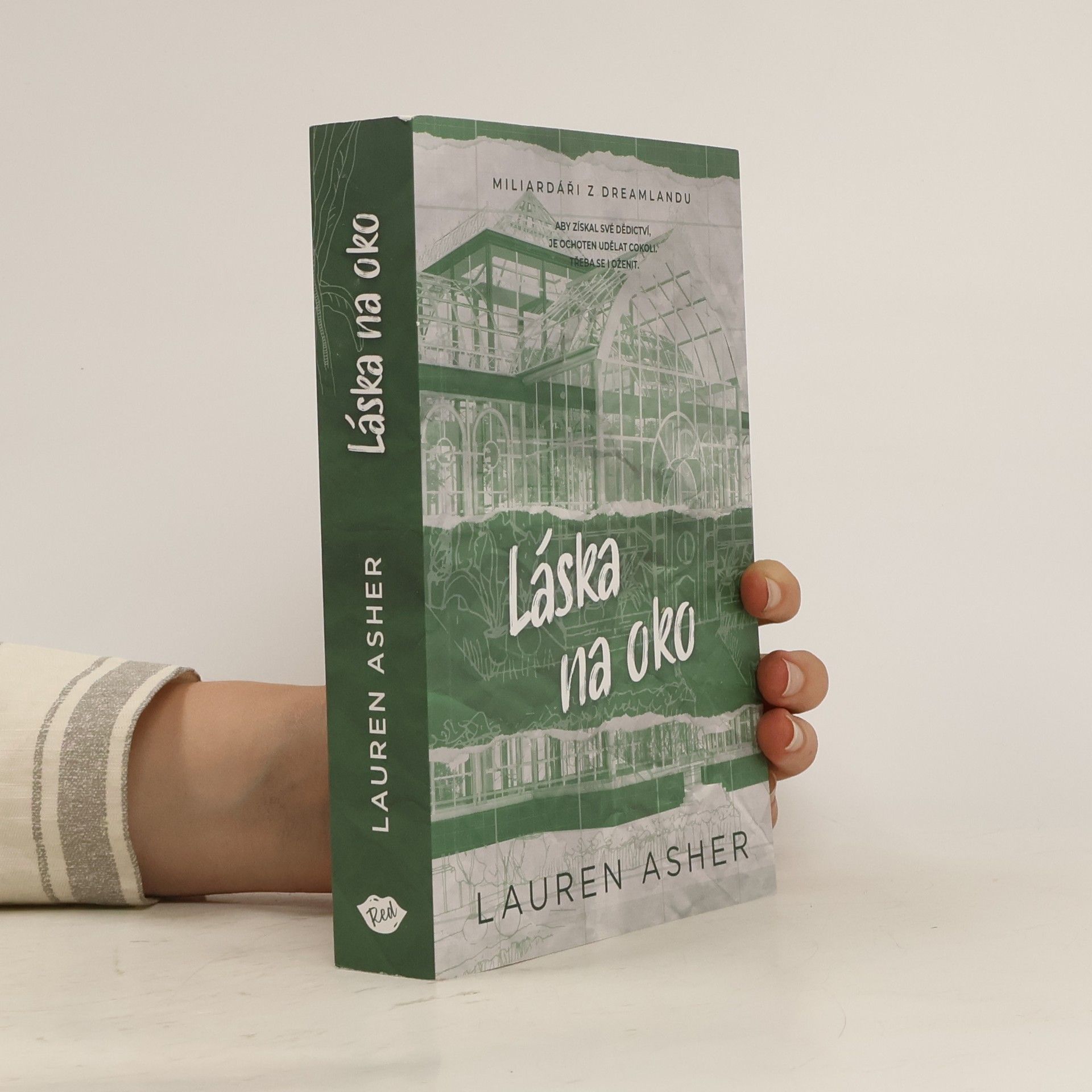 Lauren Asher Láska na oko