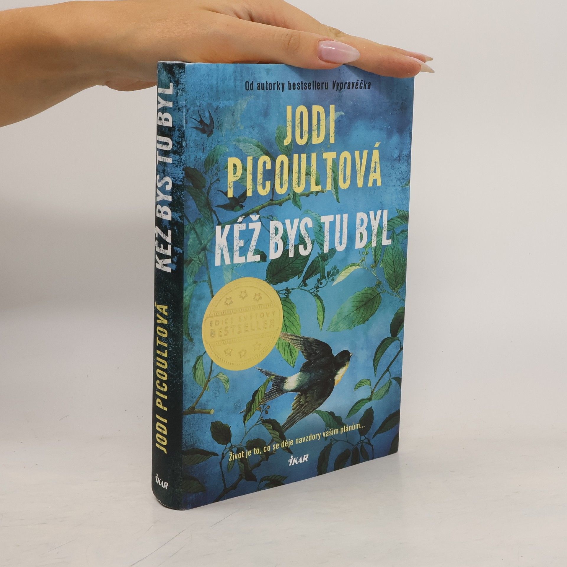 Marcela Nejedlá Kéž bys tu byl