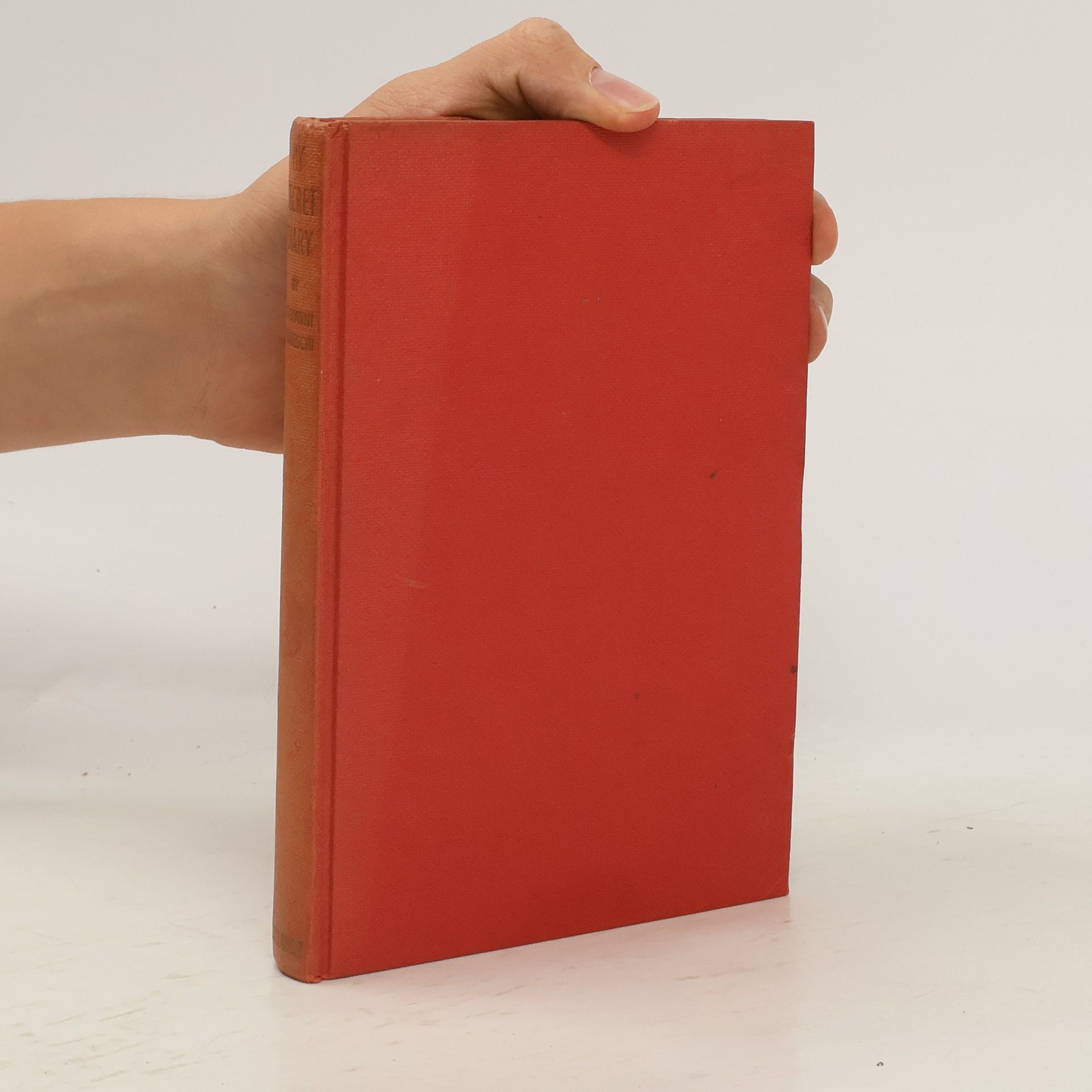 Giovannino Guareschi My Secret Diary