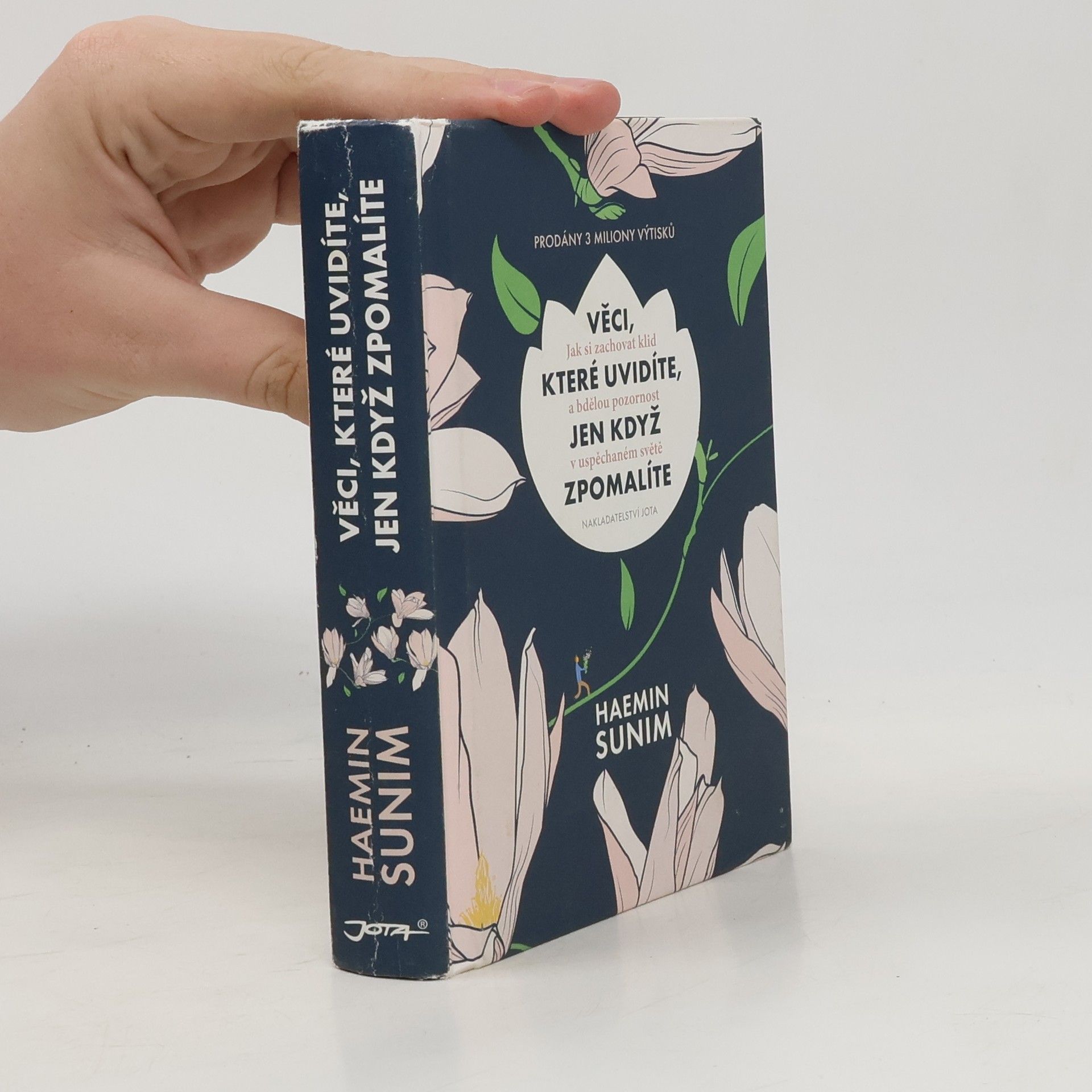 Sunim Haemin Věci, které uvidíte, jen když zpomalíte