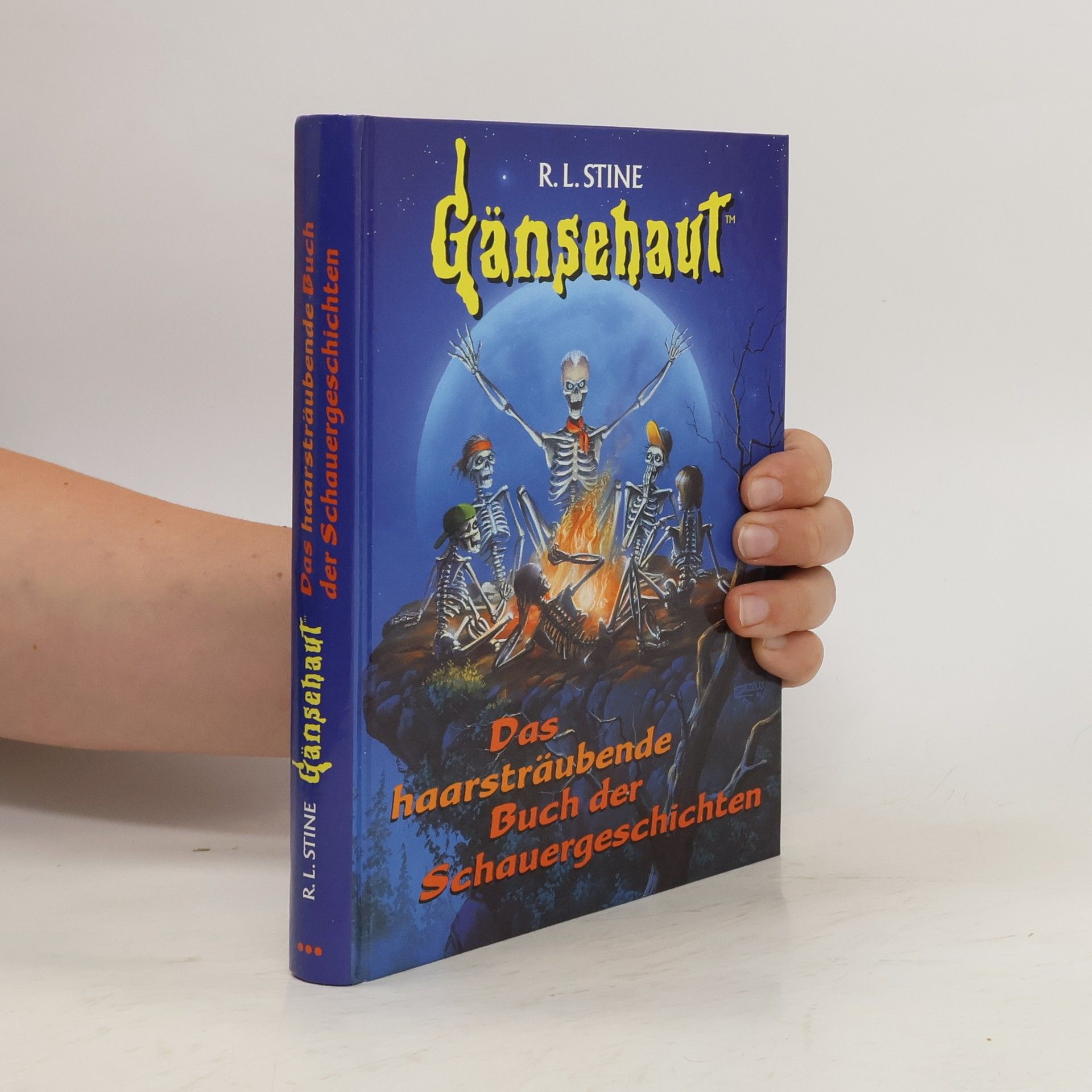 R. L. Stine Gänsehaut. Das haarsträubende Buch der Schauergeschichten
