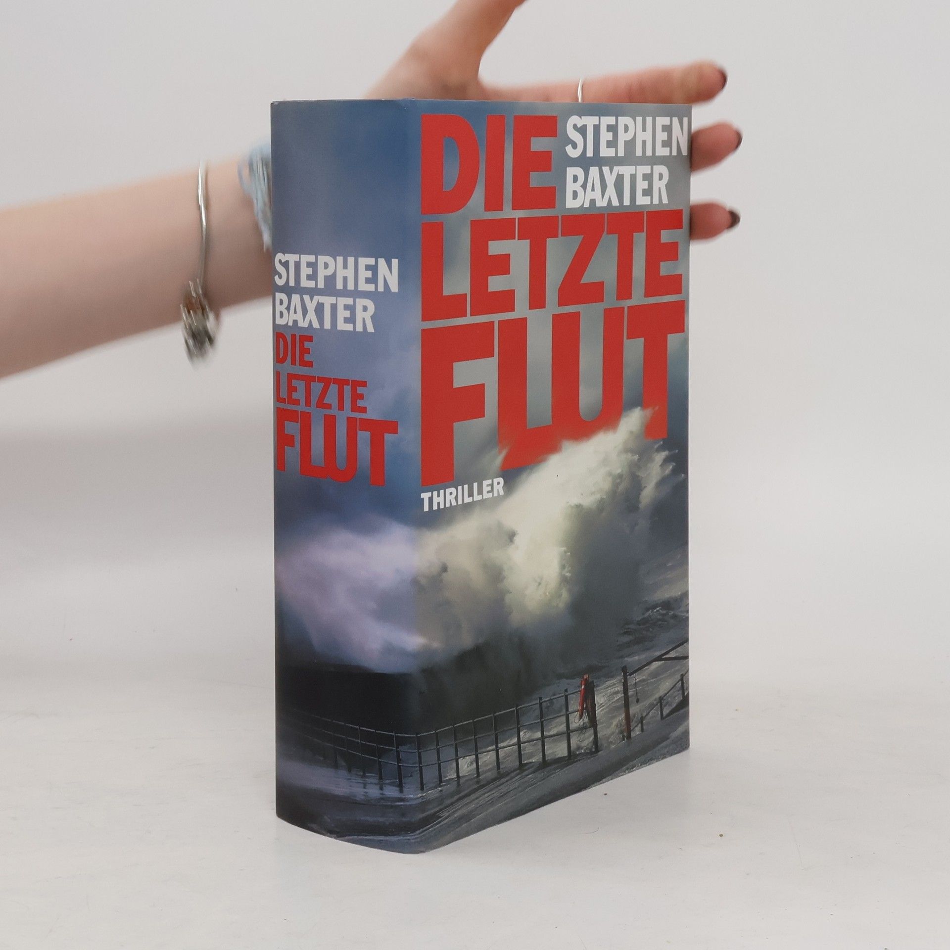 Stephen Baxter Die letzte Flut