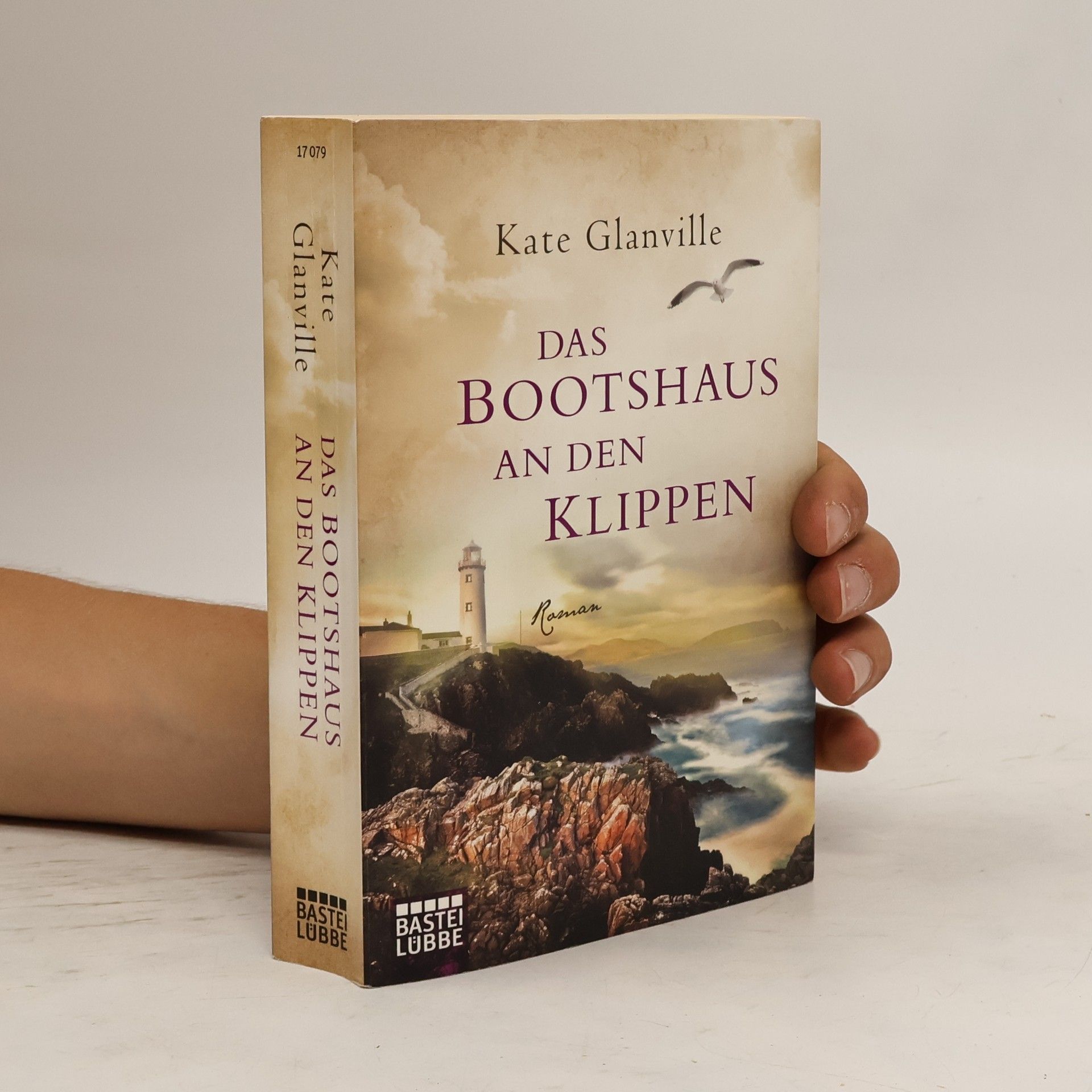 Kate Glanville Das Bootshaus an den Klippen