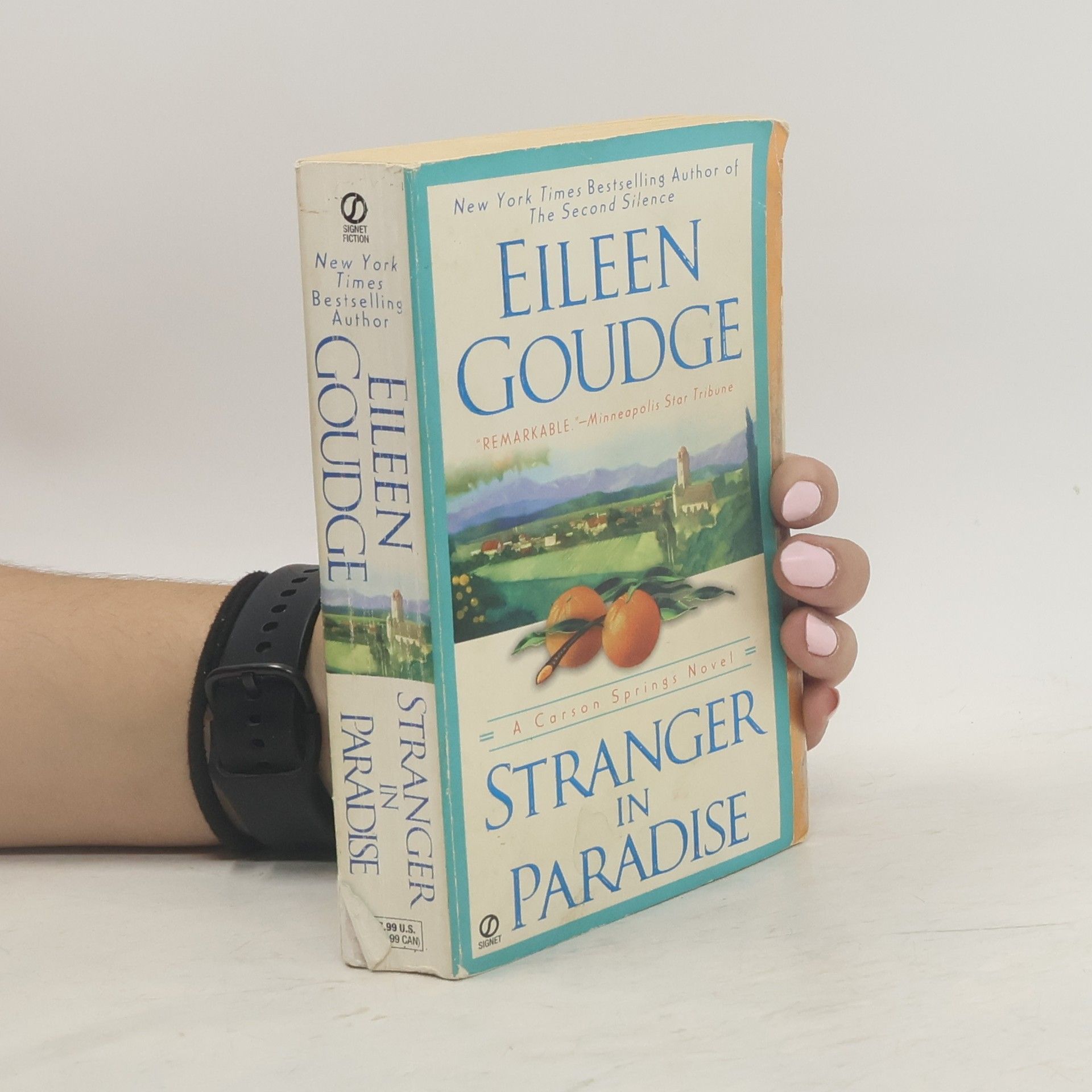 Eileen Goudge Stranger in Paradise