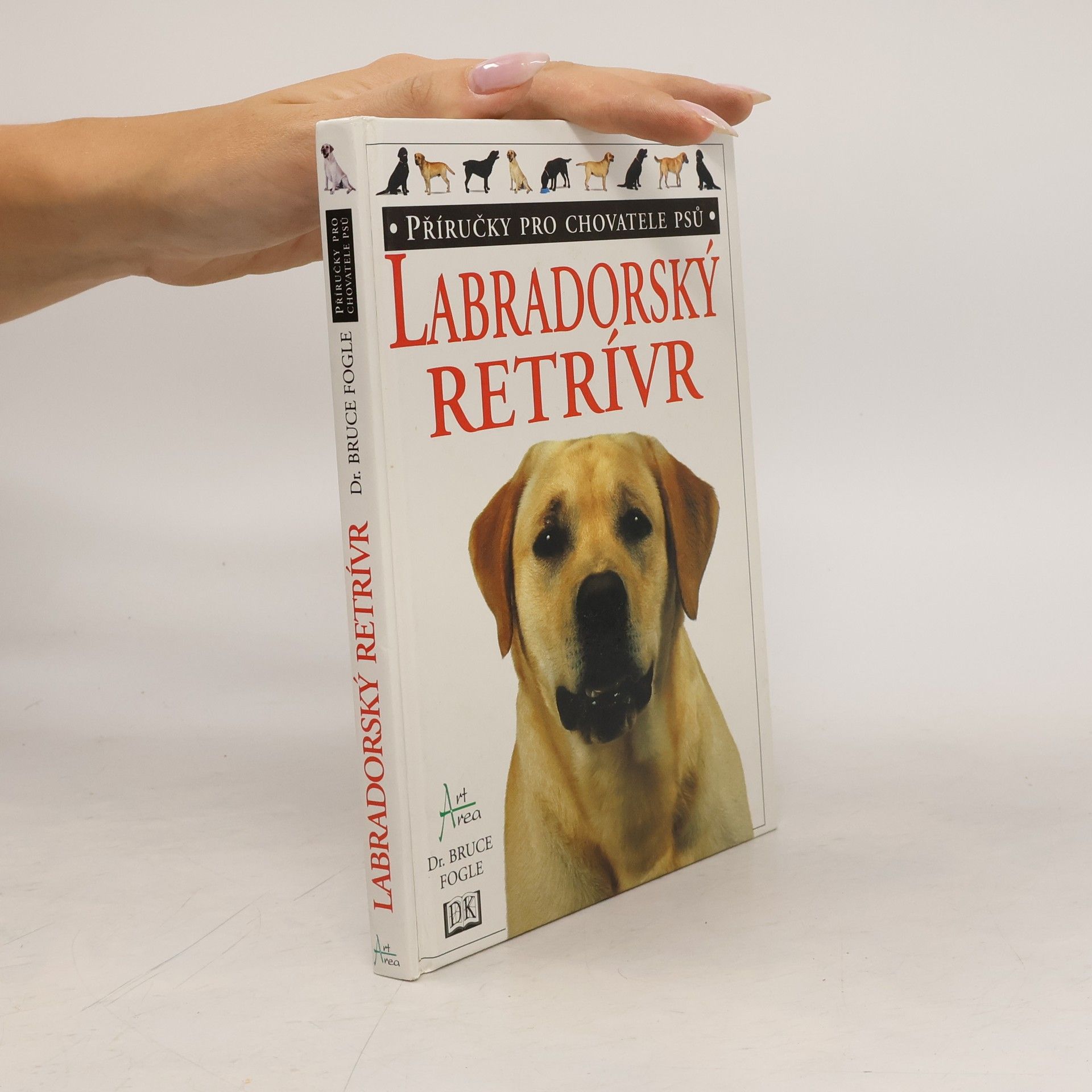 Labradorský retrívr