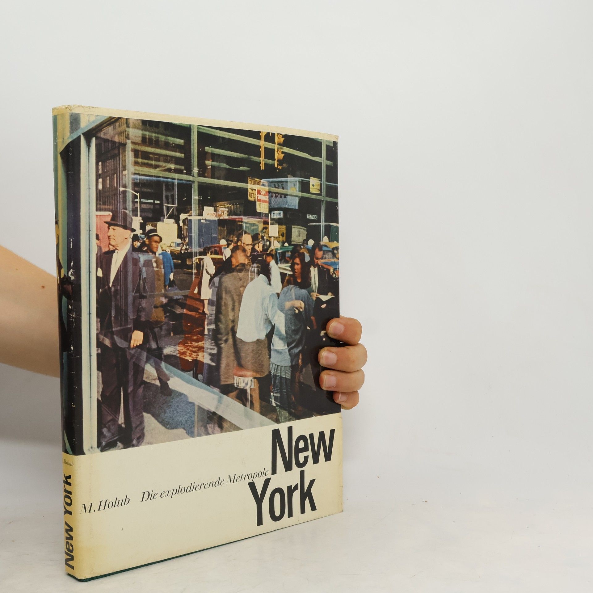 Miroslav Holub Die explodierende Metropole New York