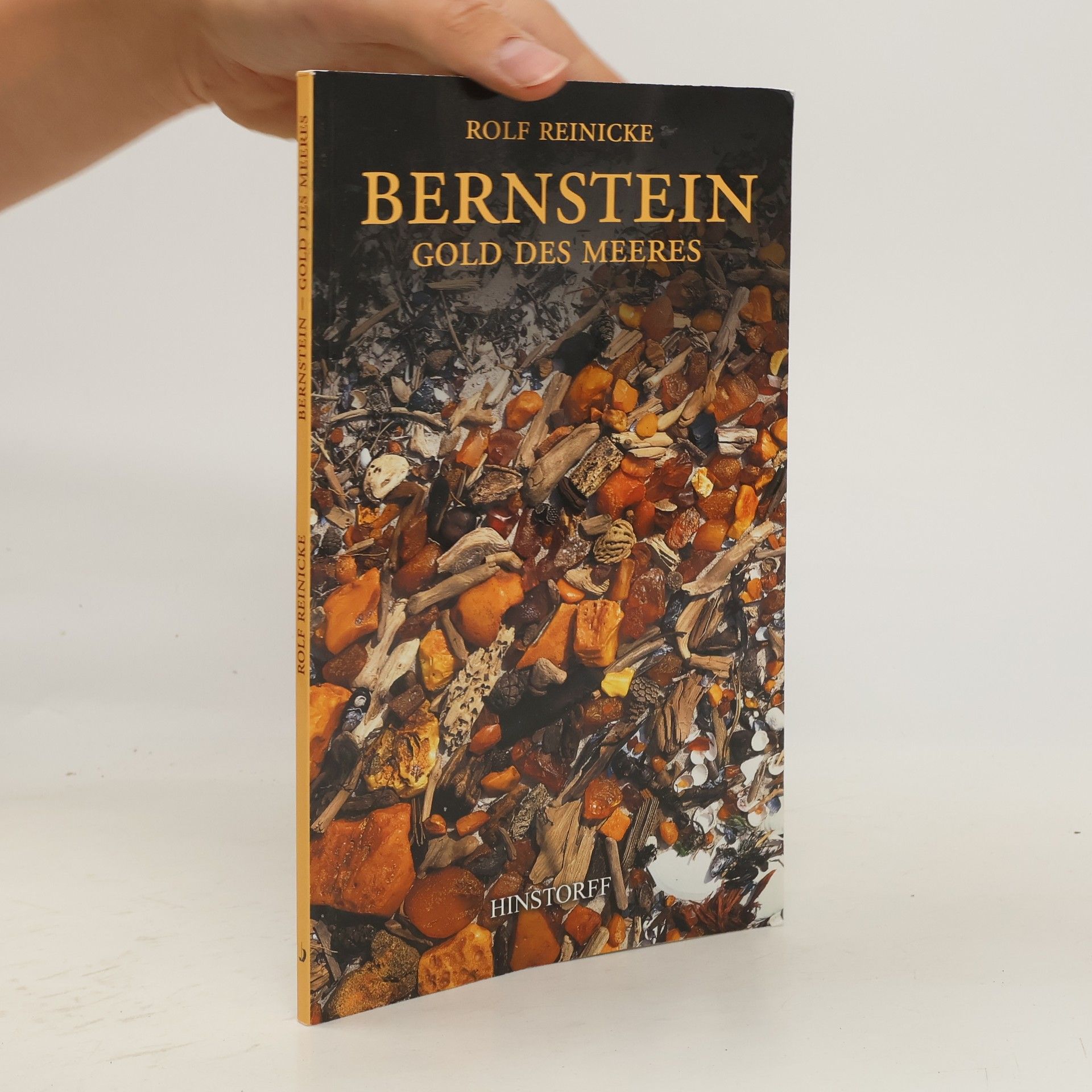 Rolf Reinicke Bernstein