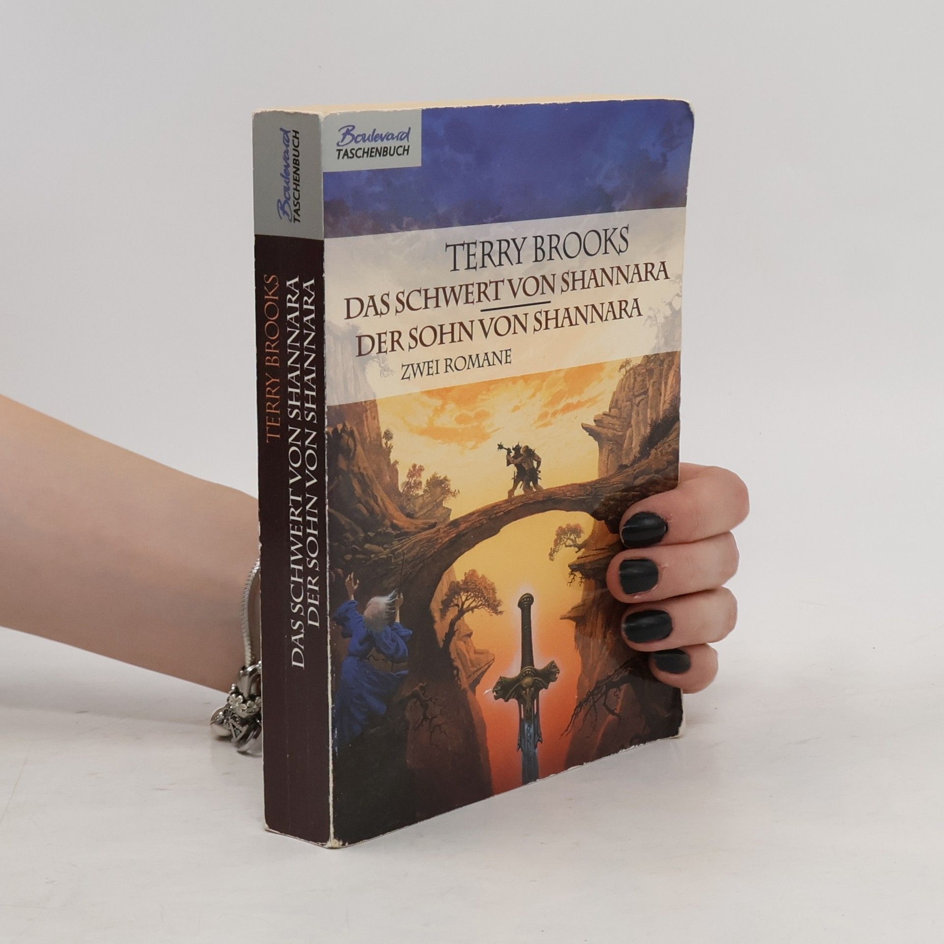 Terry Brooks Das Schwert von Shannara. Der Sohn von Shannara