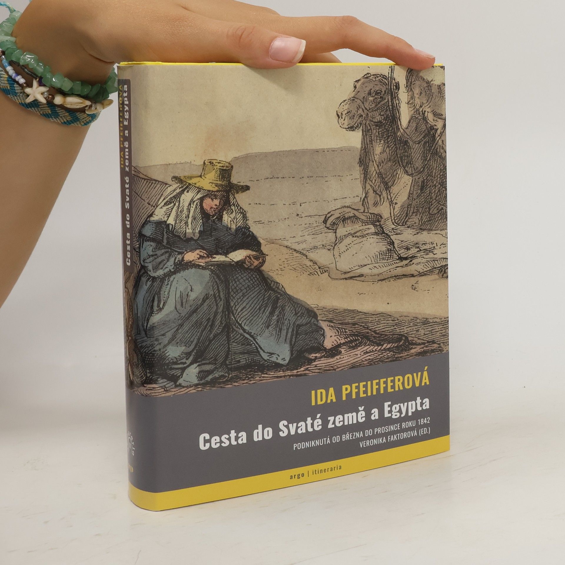 Ida Pfeiffer Cesta do Svaté země a Egypta : podniknutá od března do prosince roku 1842