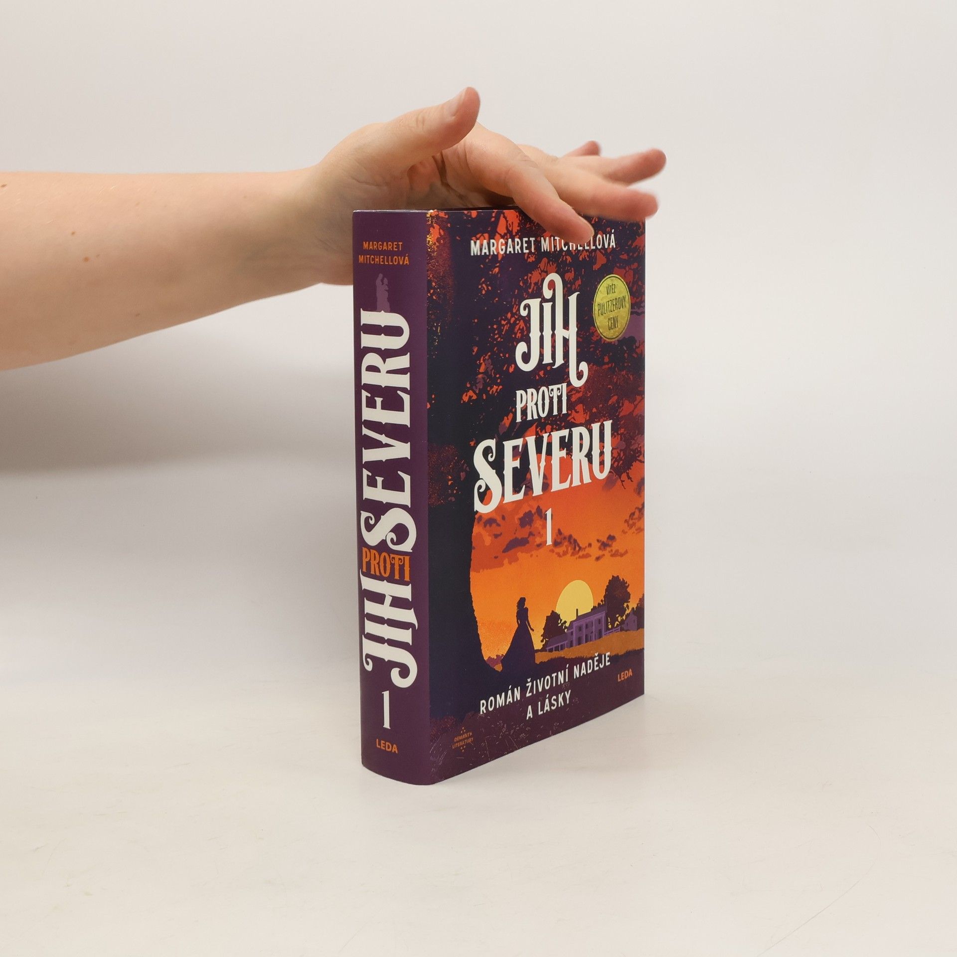 Margaret Mitchell Jih proti Severu 1