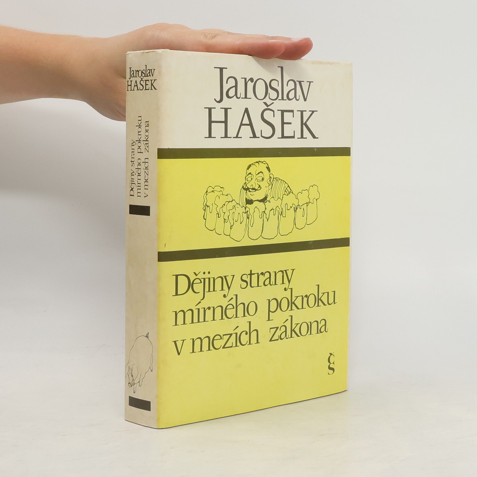 Dějiny strany mírného pokroku v mezích zákona