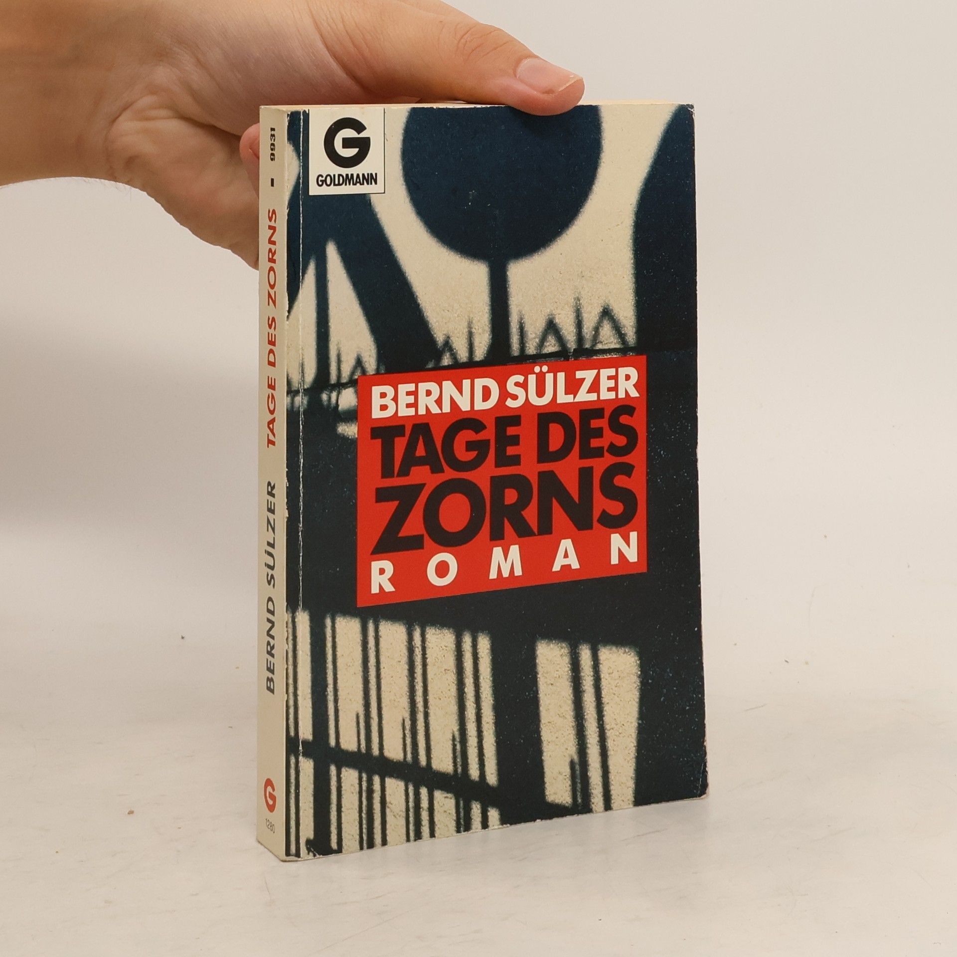 Bernd Sülzer Tage des Zorns