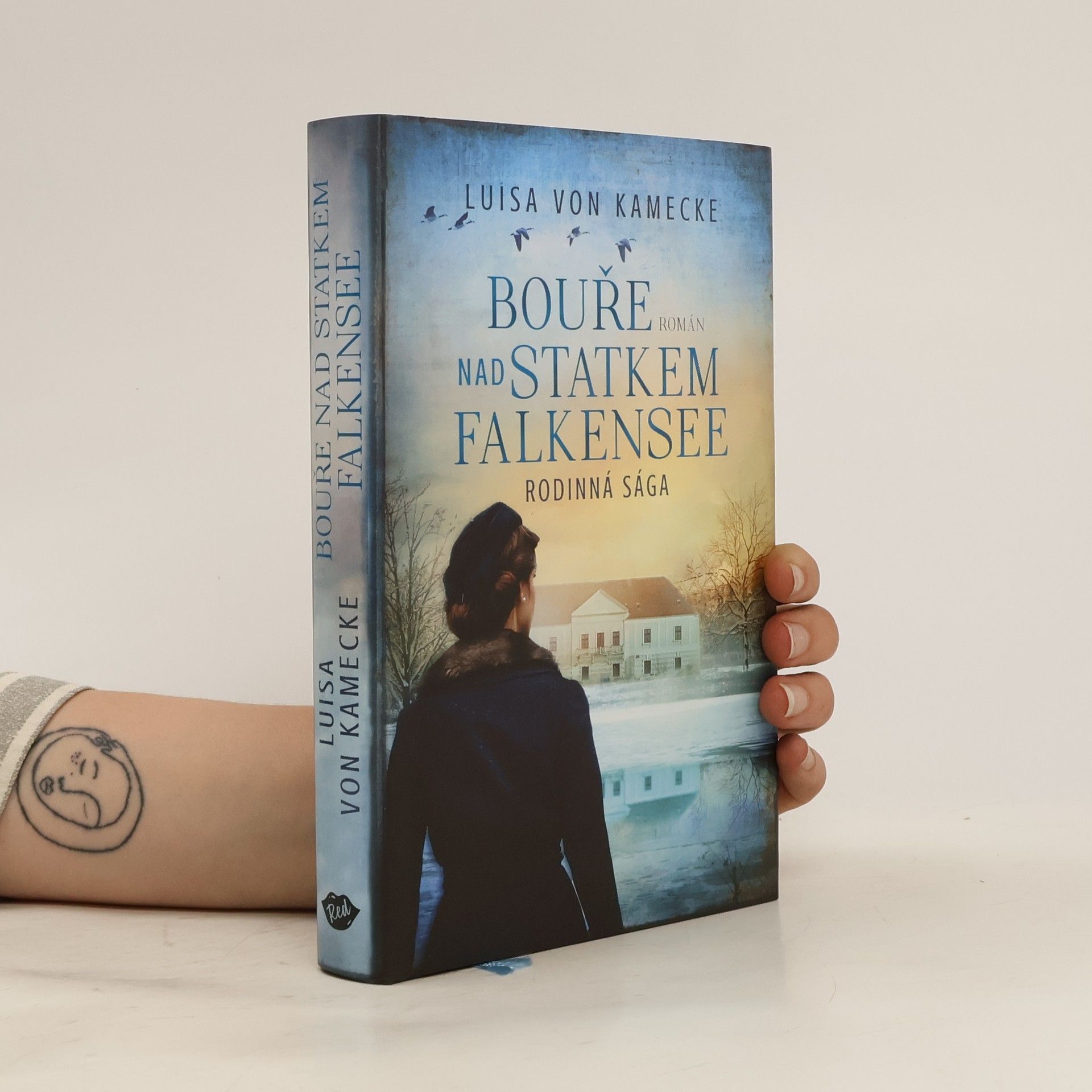 Luisa von Kamecke Bouře nad statkem Falkensee