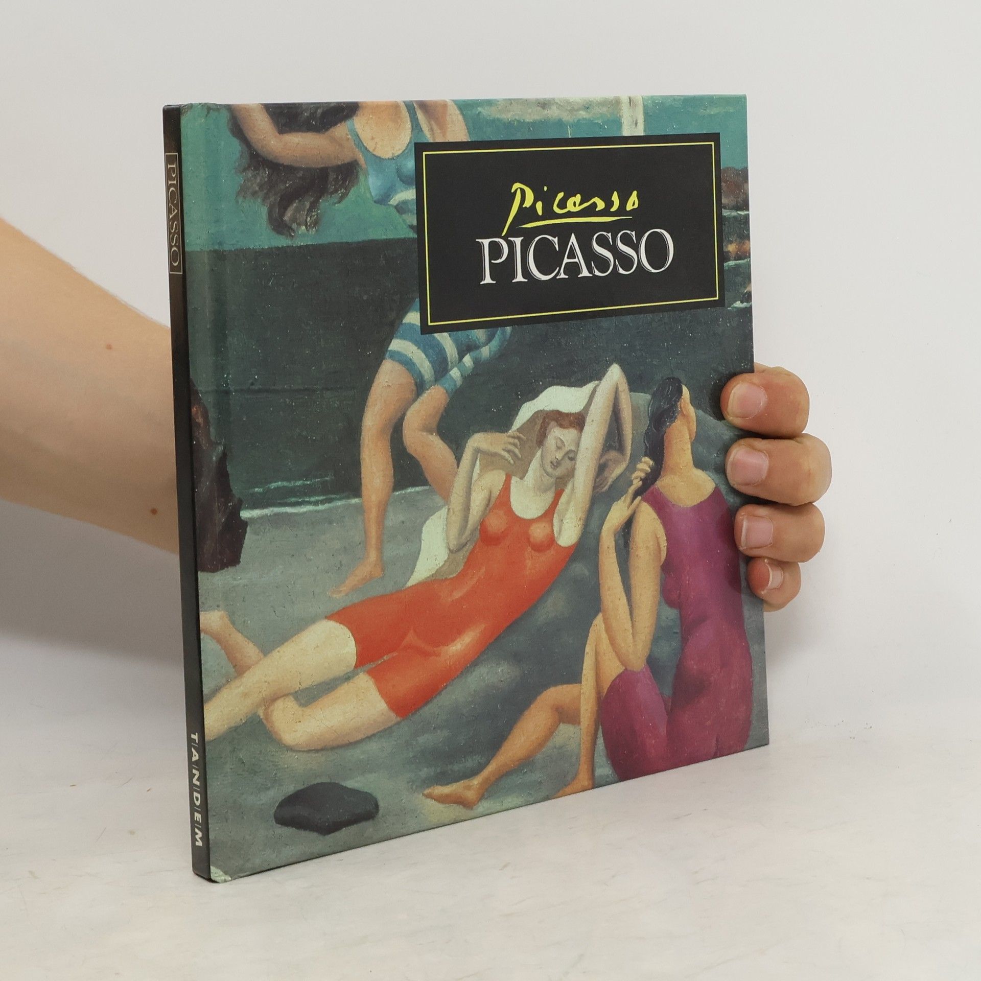 Autorenkollektiv Picasso