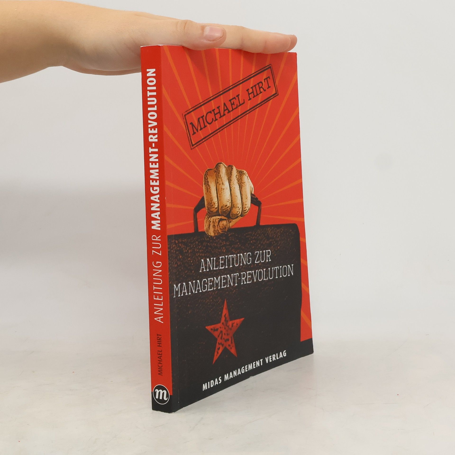 Michael Hirt Anleitung zur Management-Revolution