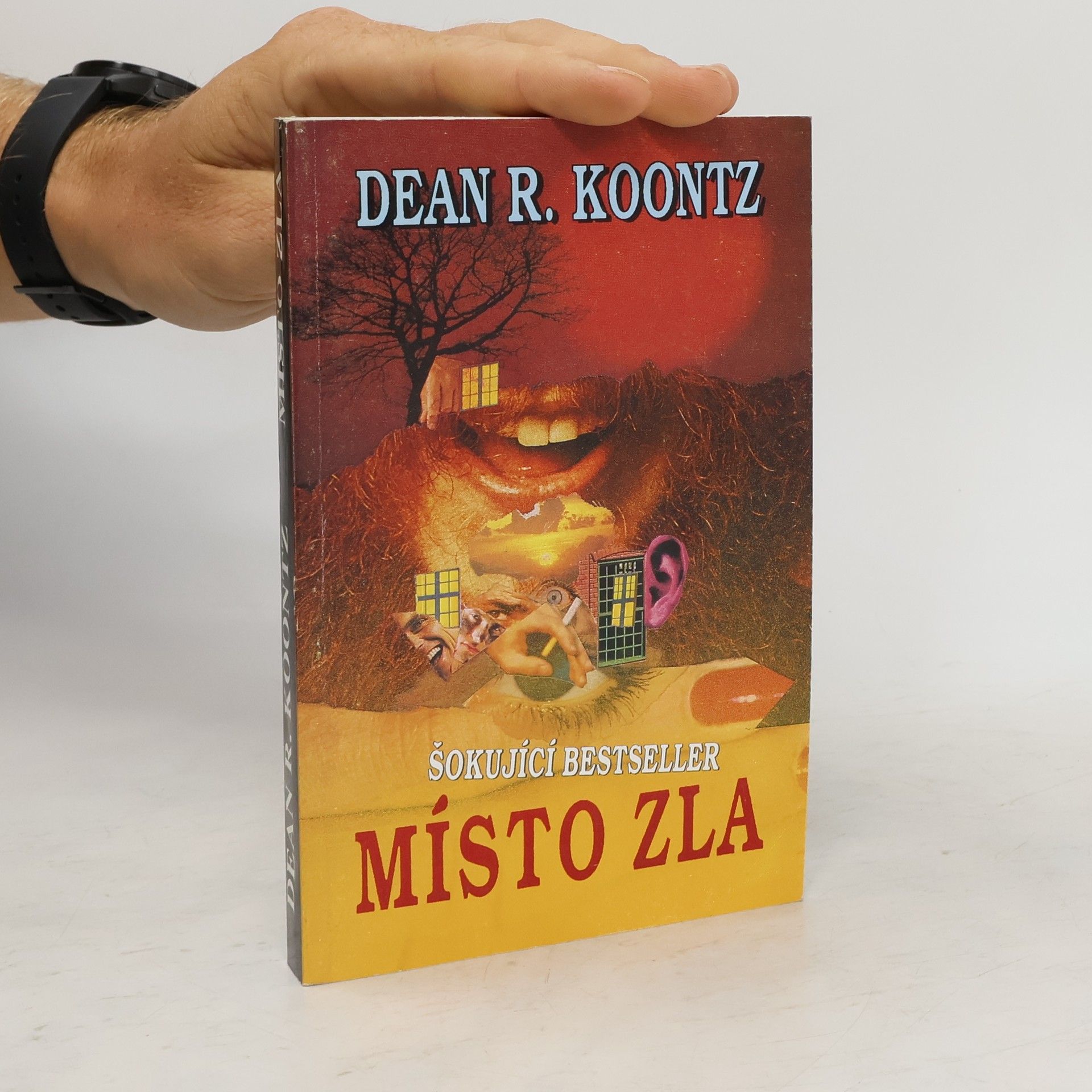 Dean R. Koontz Místo zla